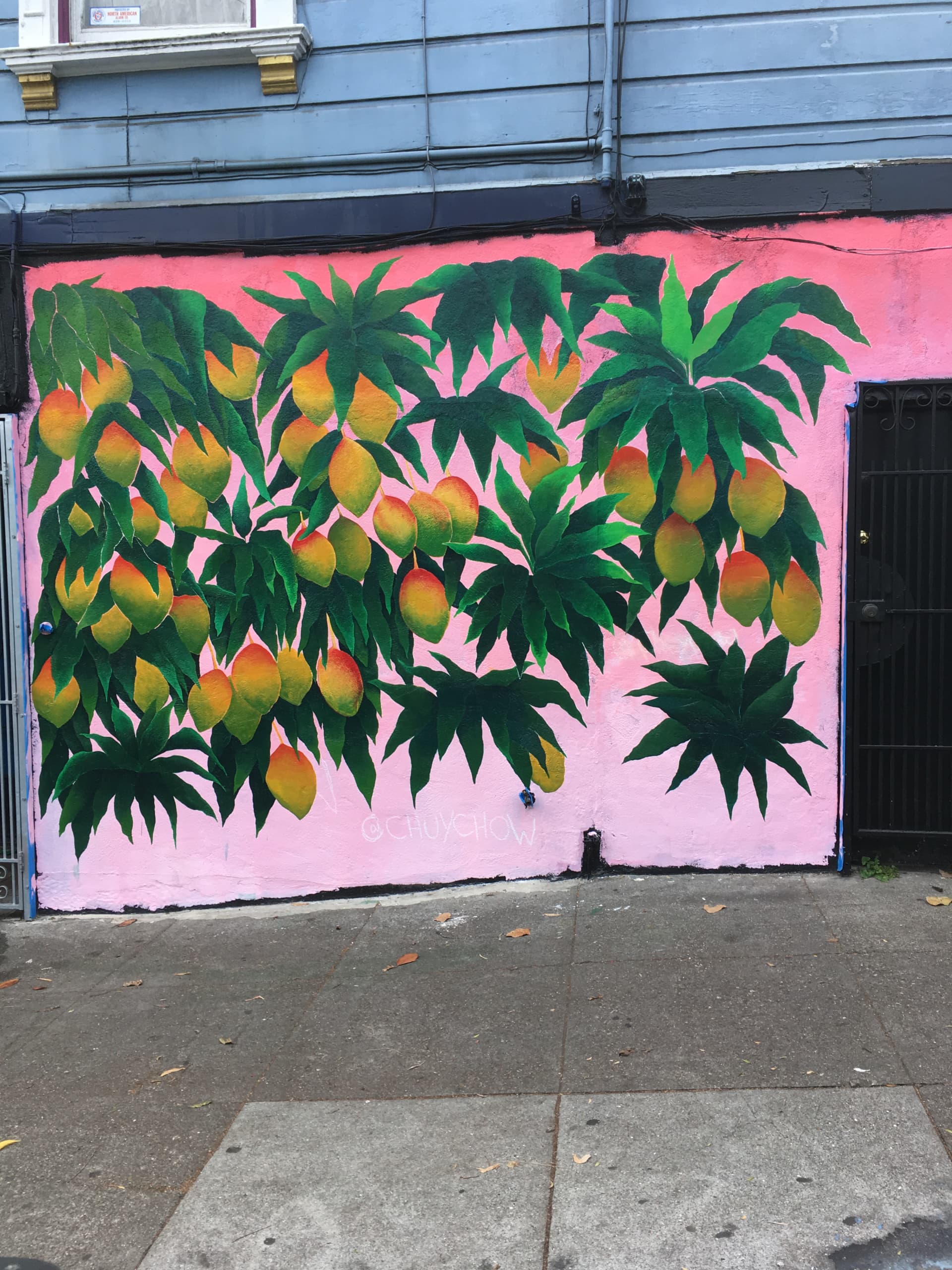 Mango by Chuy Penaloza