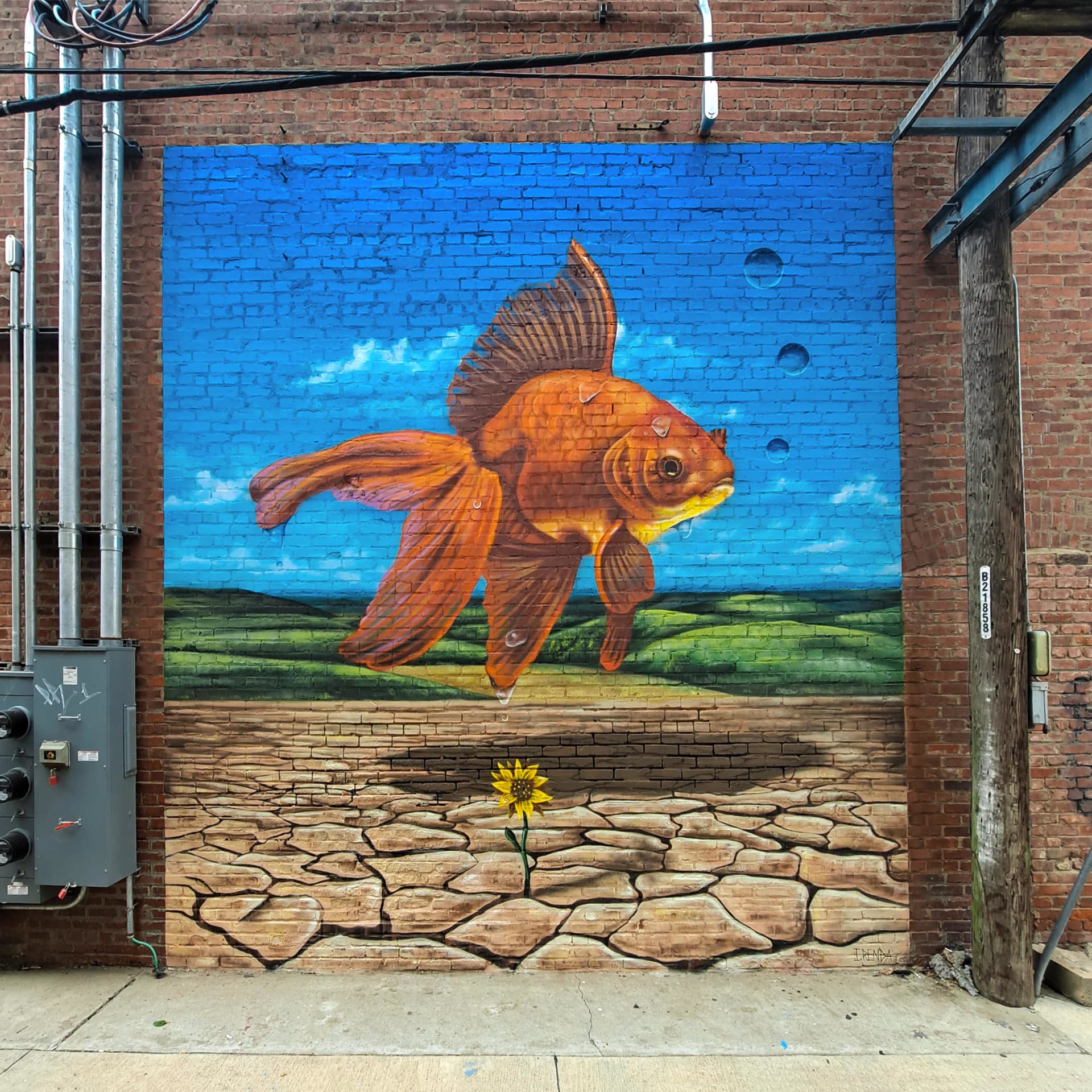 New Beginnings by Joseph Renda Jr.
