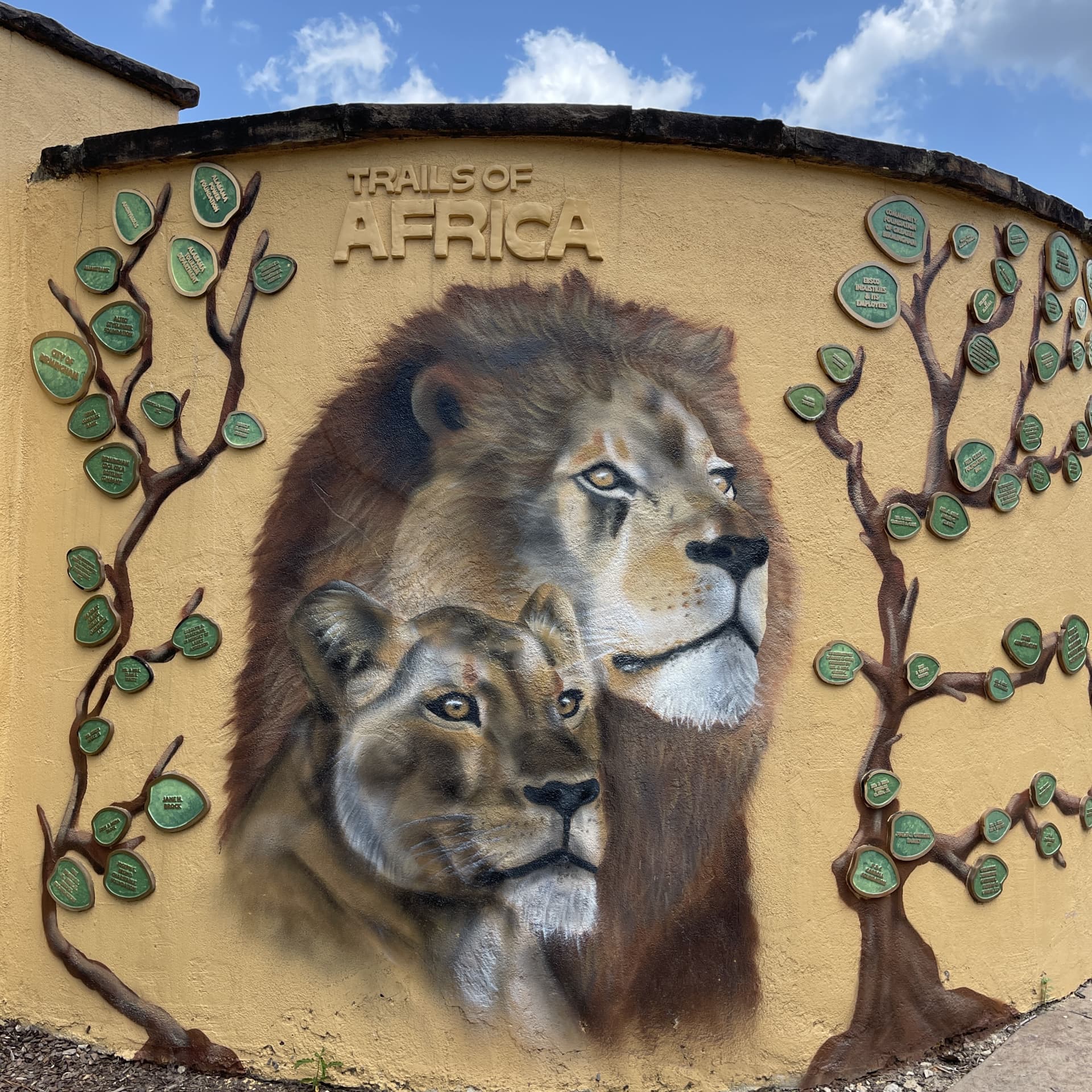 Guardians of the African Wilderness by Shawn Fitzwater