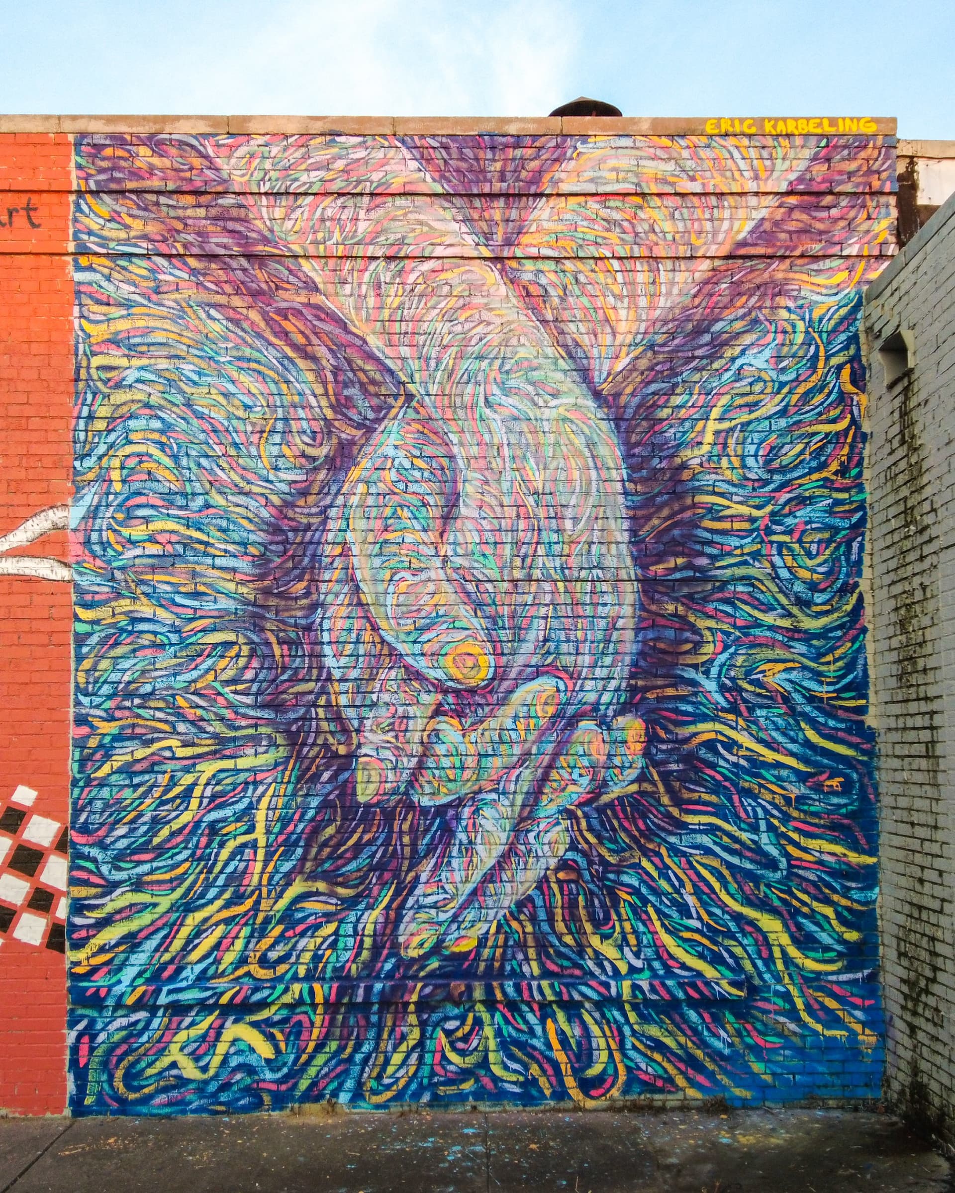 Tangled Connections in Vibrant Harmony by Eric Karbeling