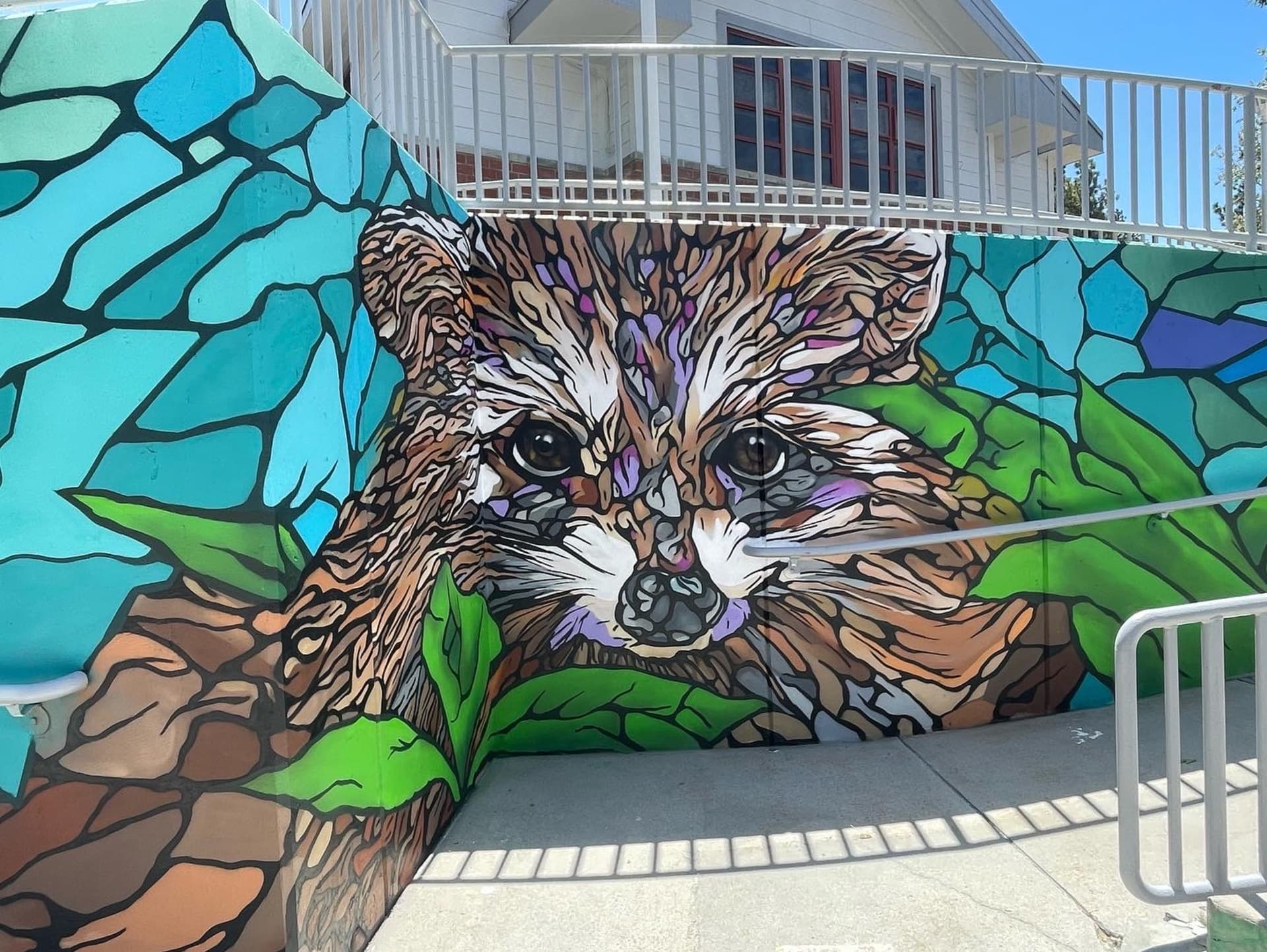 Rocky Raccoon  by Wes77