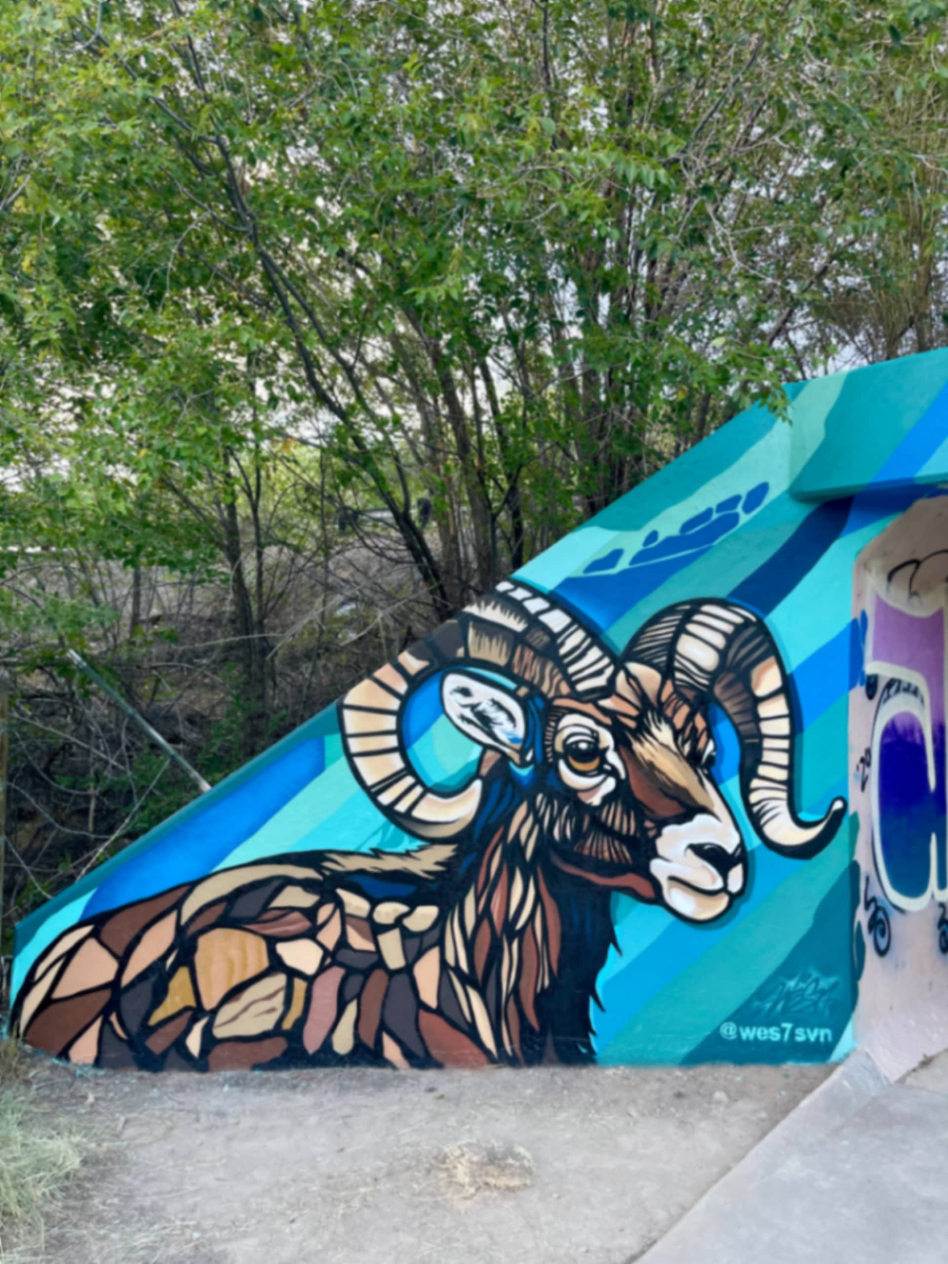 Big Horn Sheep  by Wes77