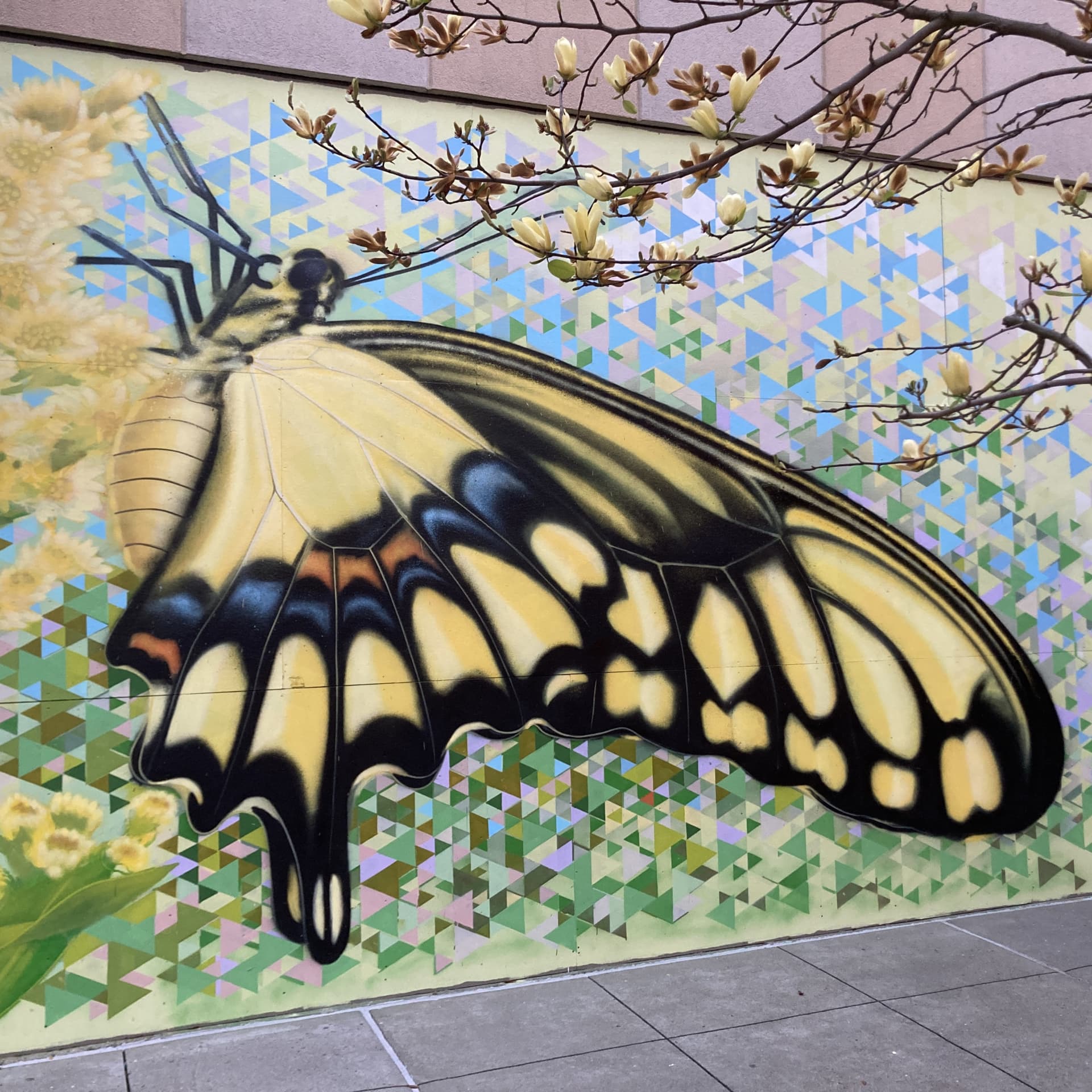Pollinators Reveries by Chris Soria