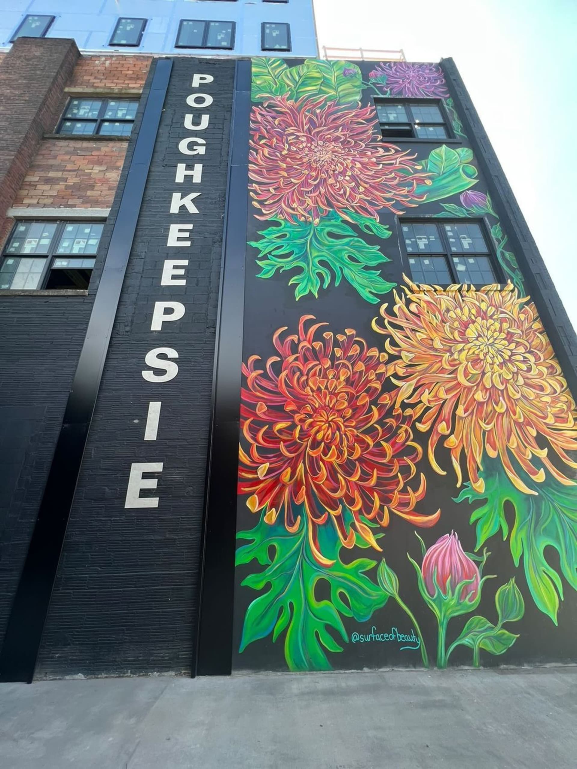 Chrysanthemum Power by Surface Of Beauty