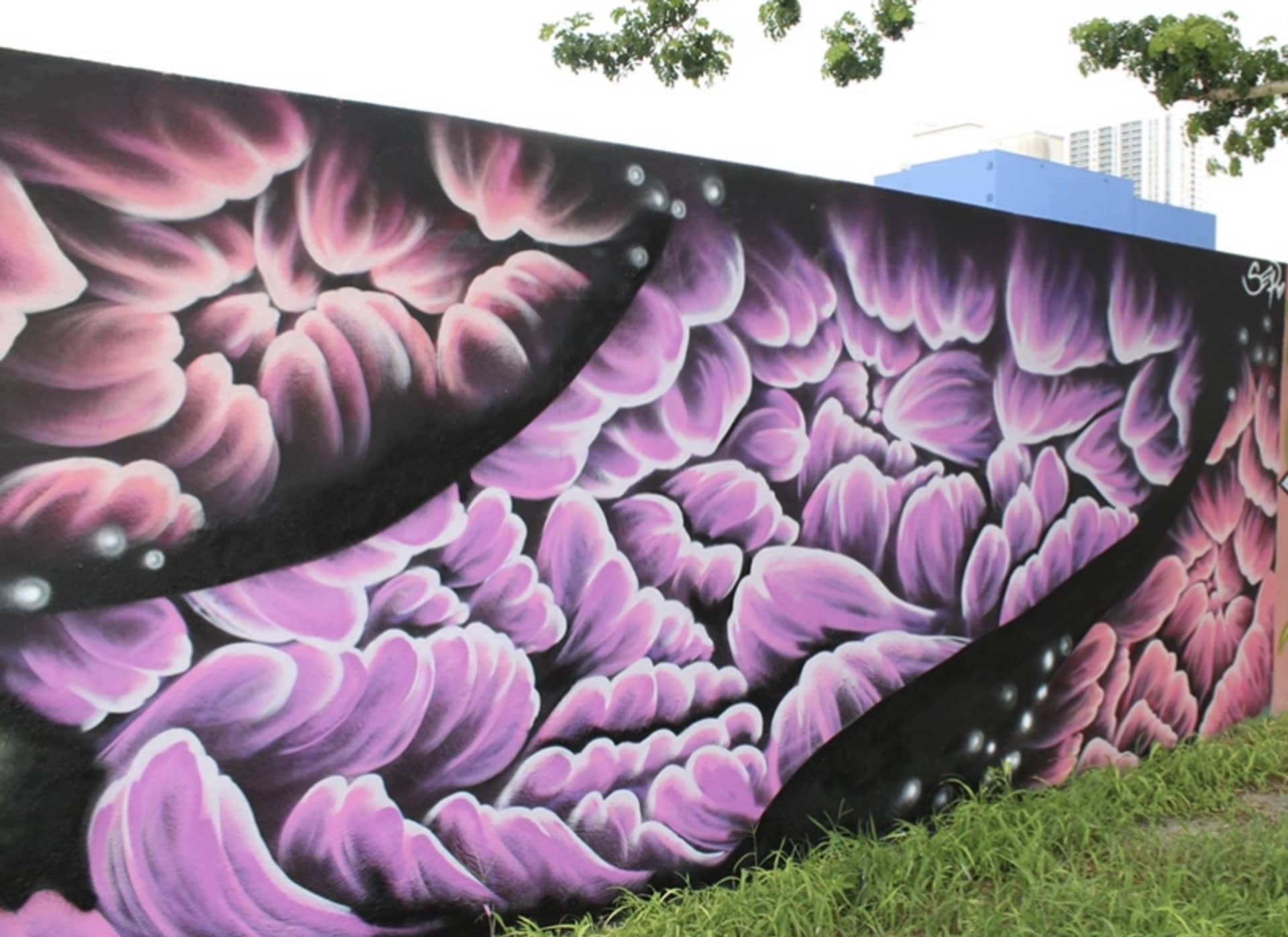 Blooming by Seip