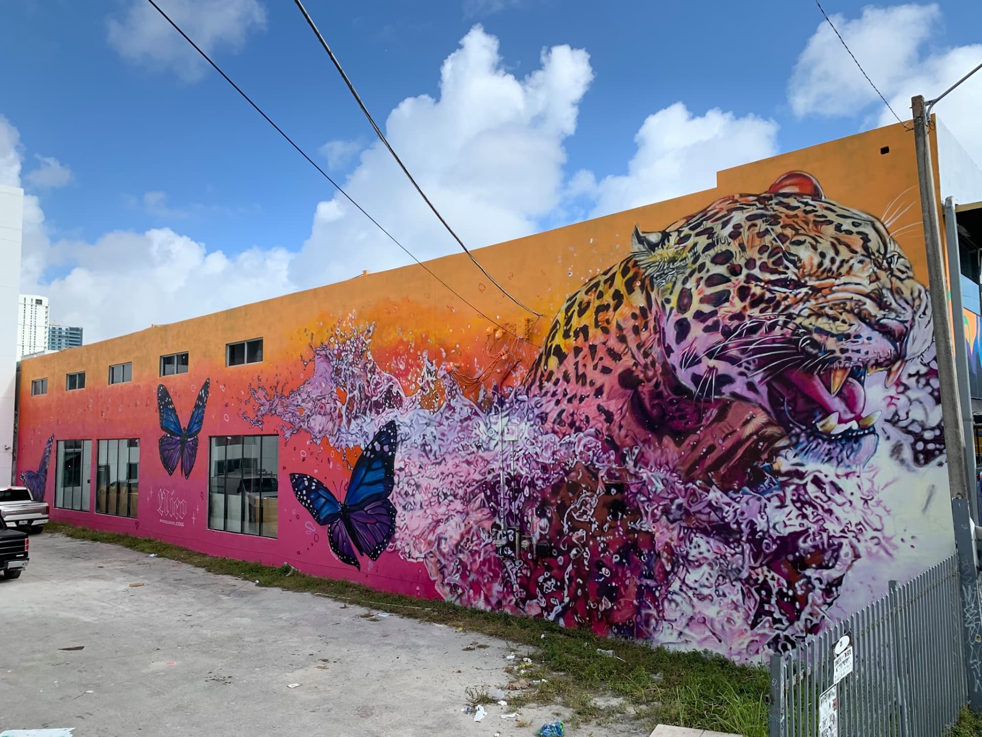 Wynwood Mural Festival by Nico