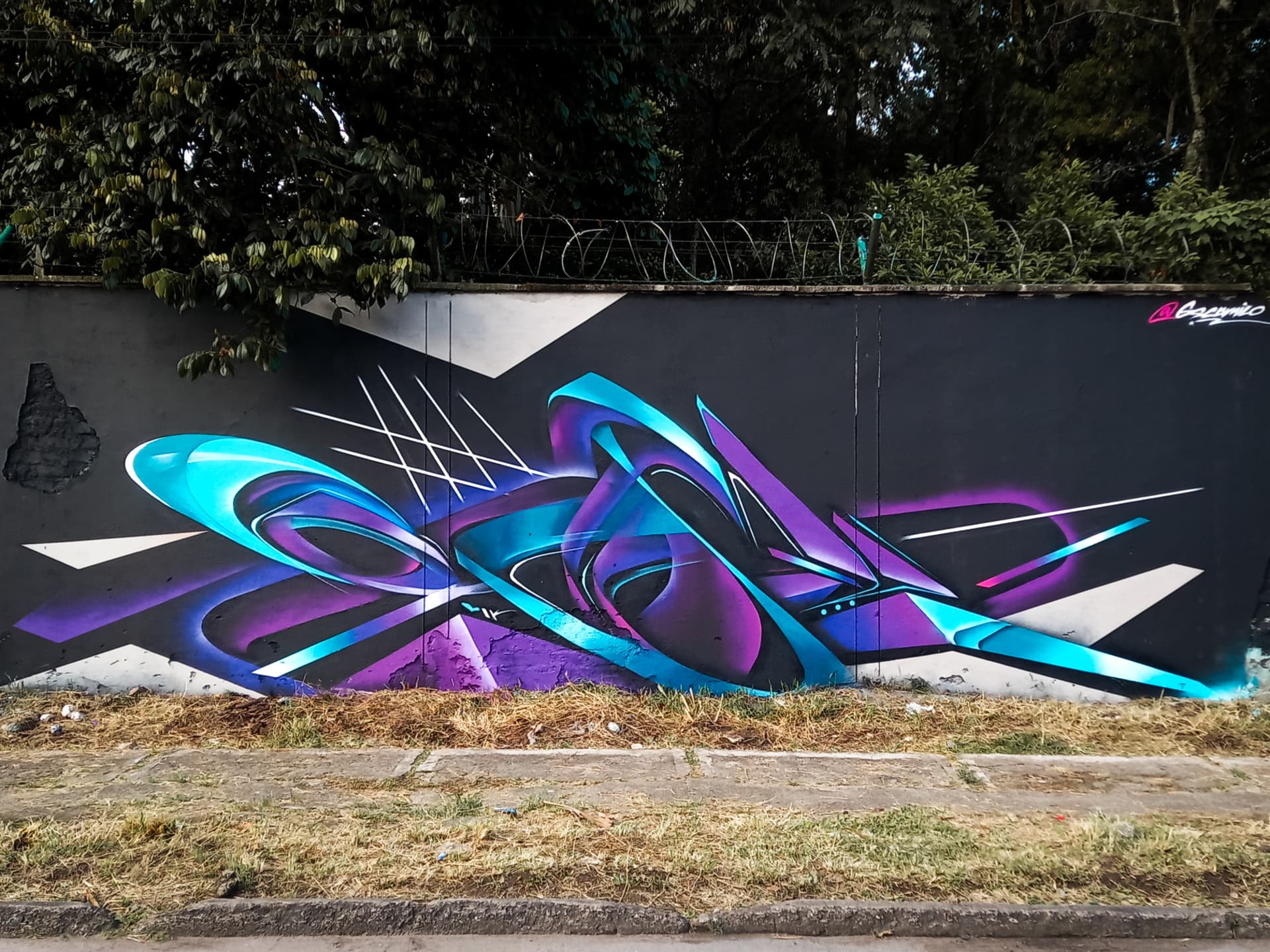 Fluid Dynamics of Color and Form by Camilo Gs