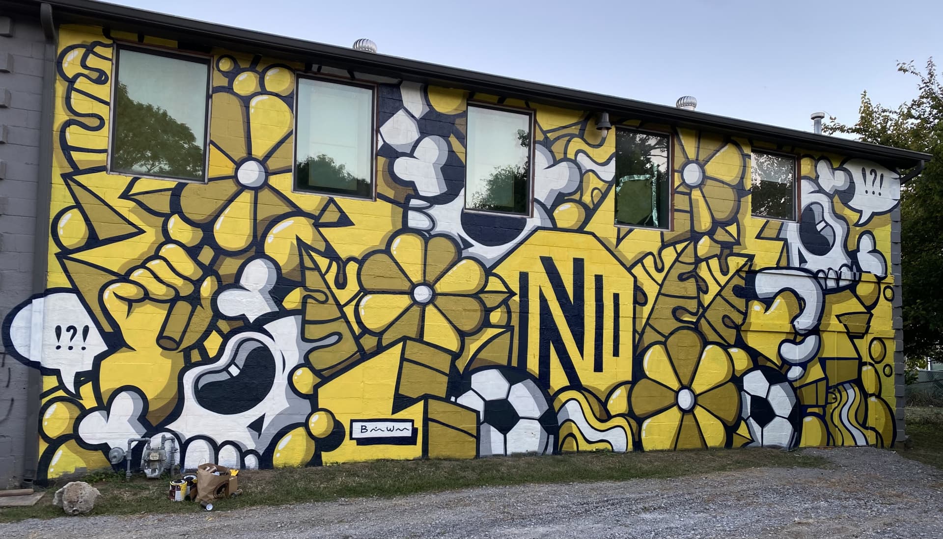 BW x NSC collab by Brian Wooden