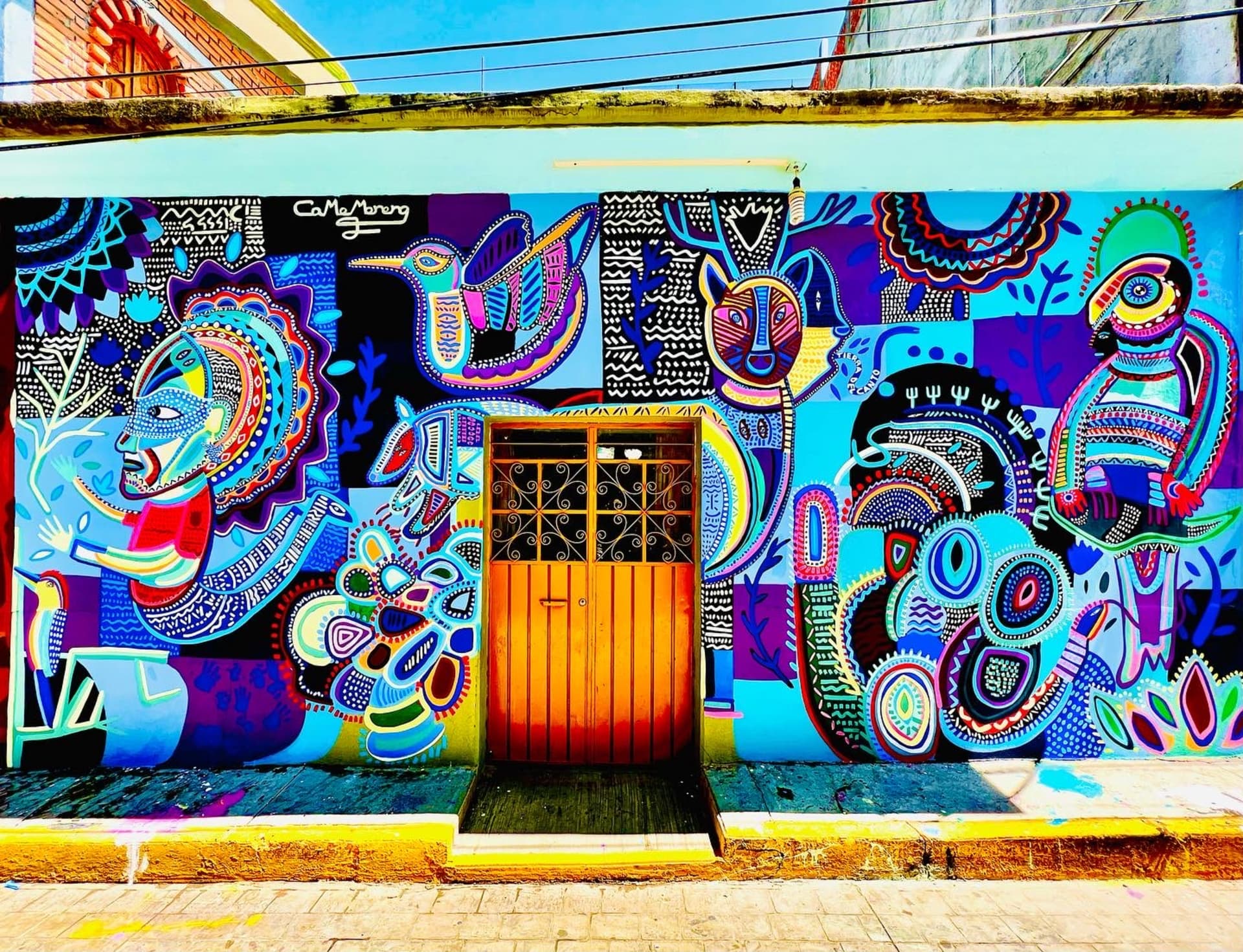Conexión  by Came Moreno