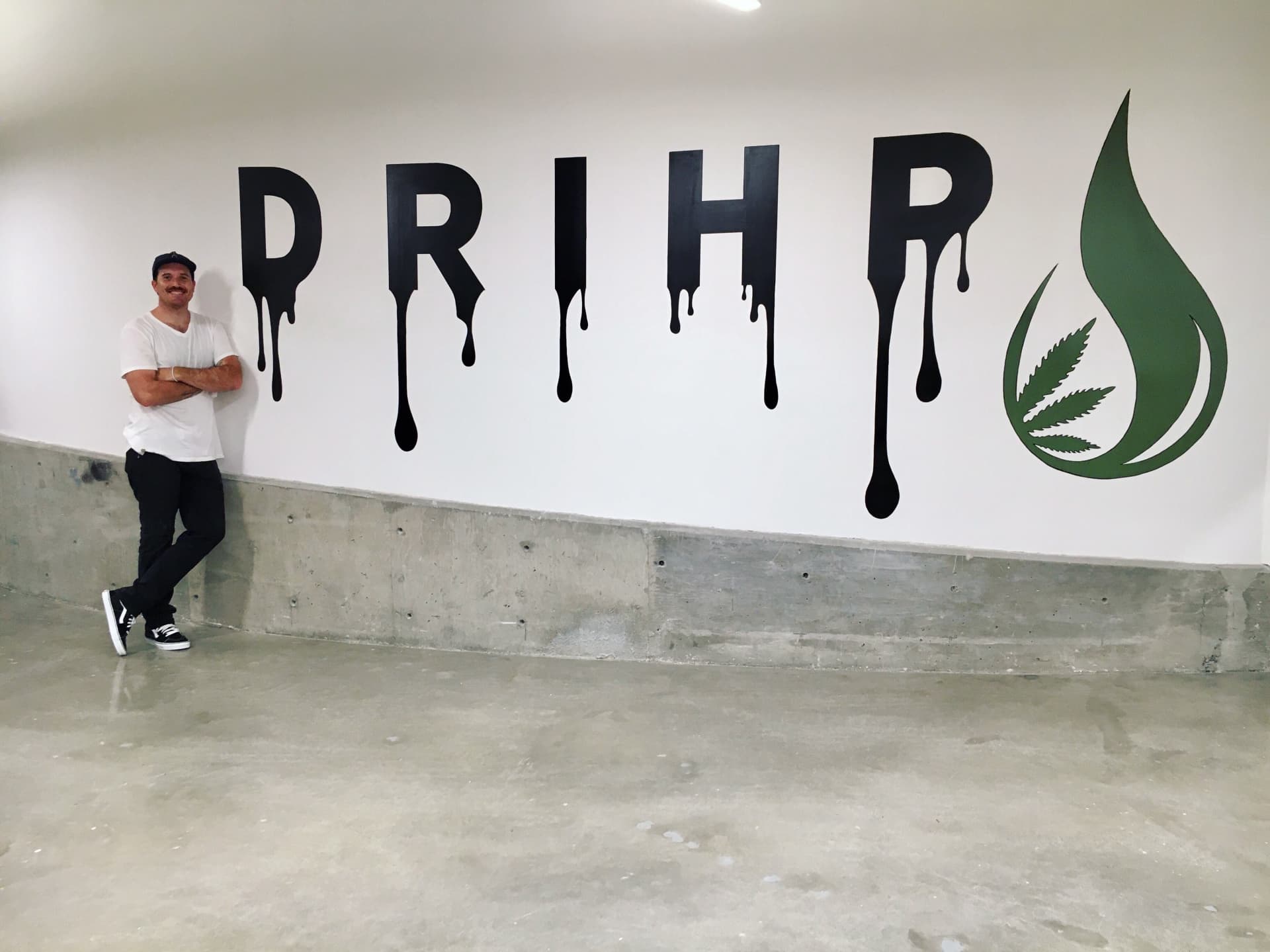 Drihp  by Cs:.