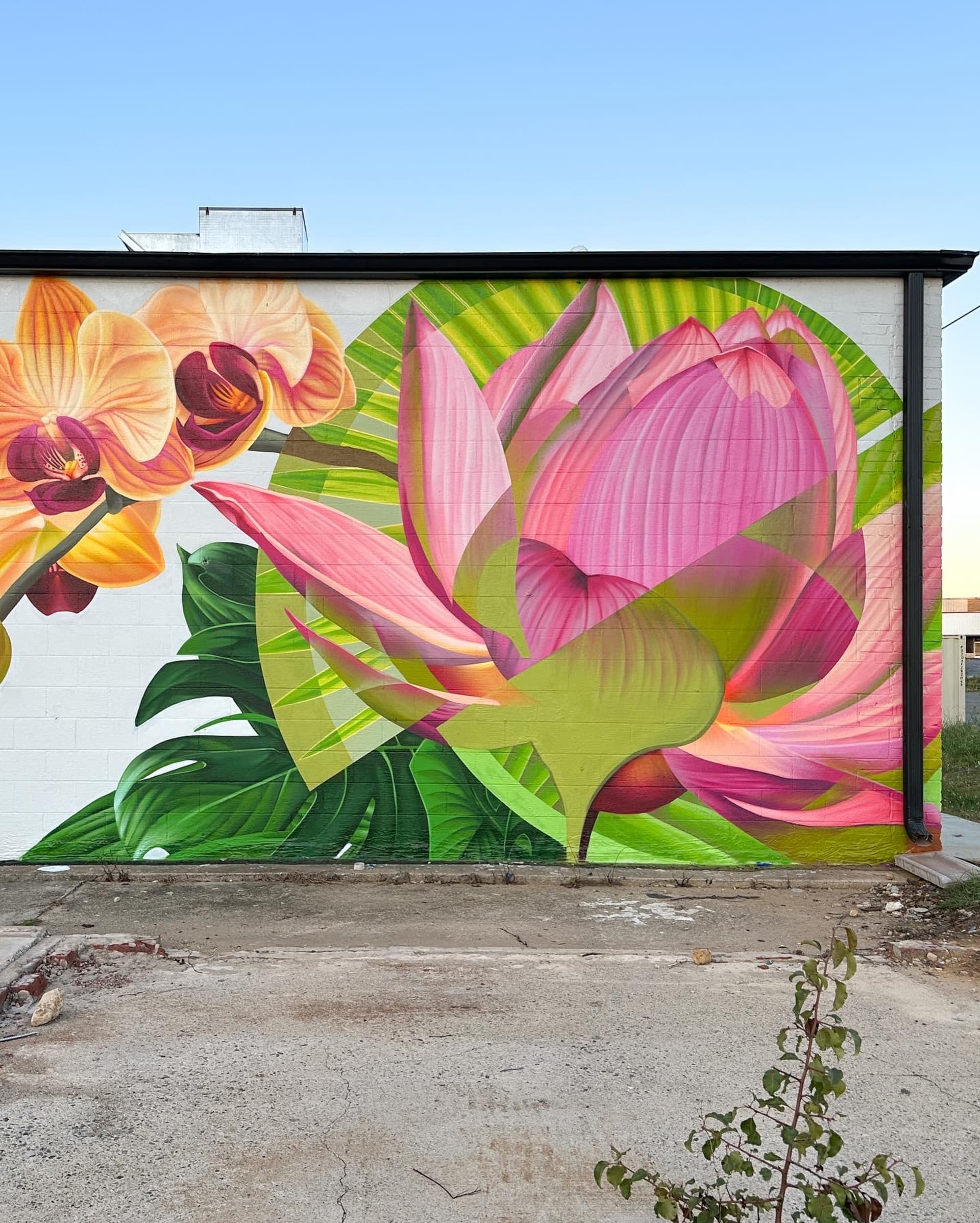 Flowers of Asia by Kathryn Crawford