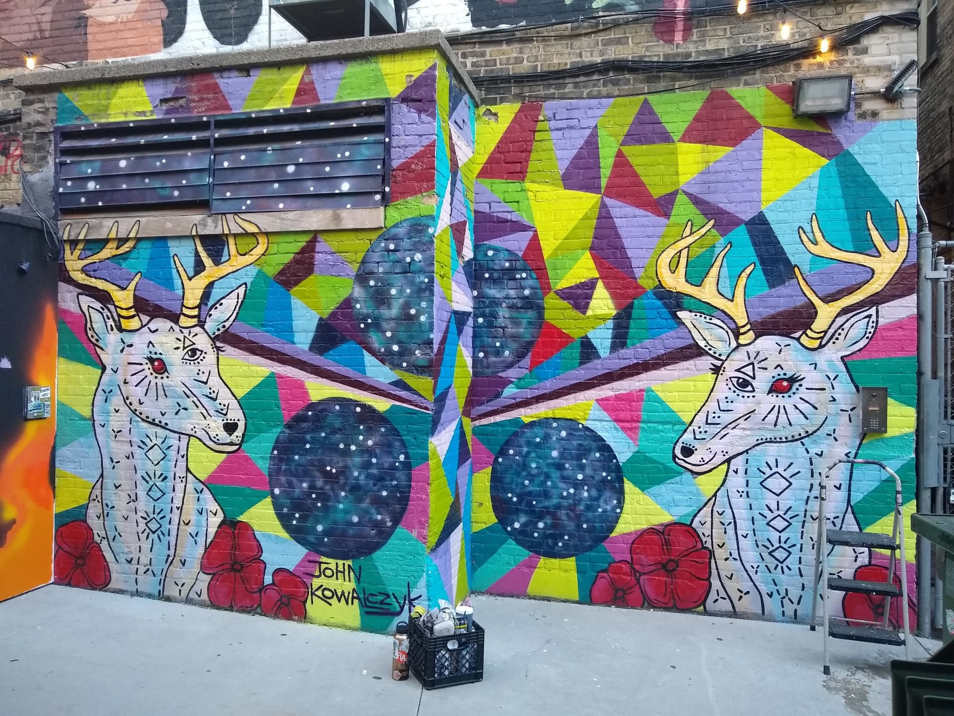 Merlin the Beloved Buck and His Reflection  by John Kowalczyk