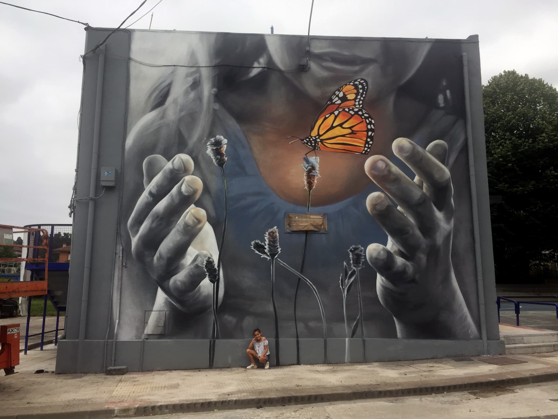 butterfly by Muraleslian
