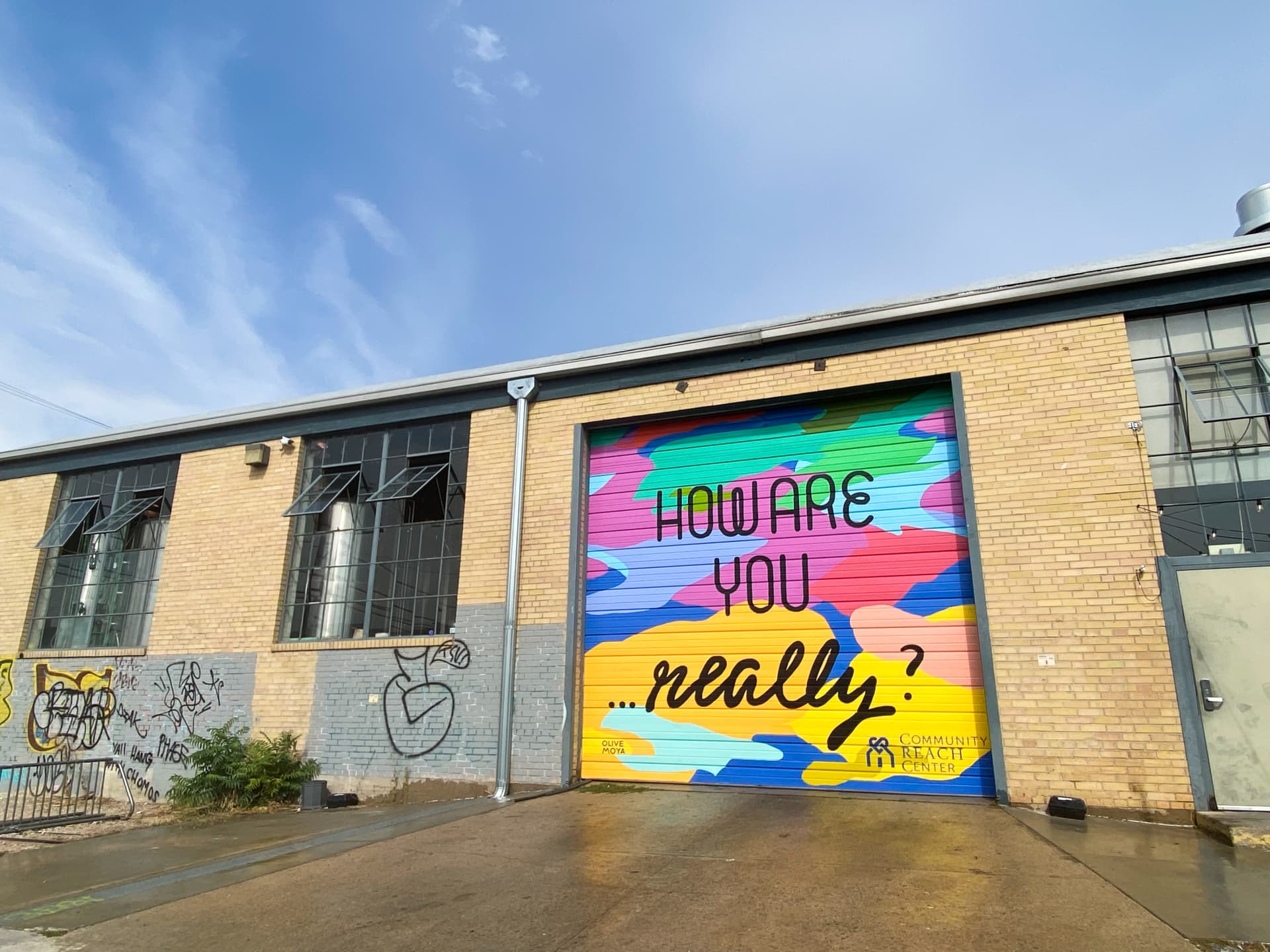 How Are You Really? by Olive Moya