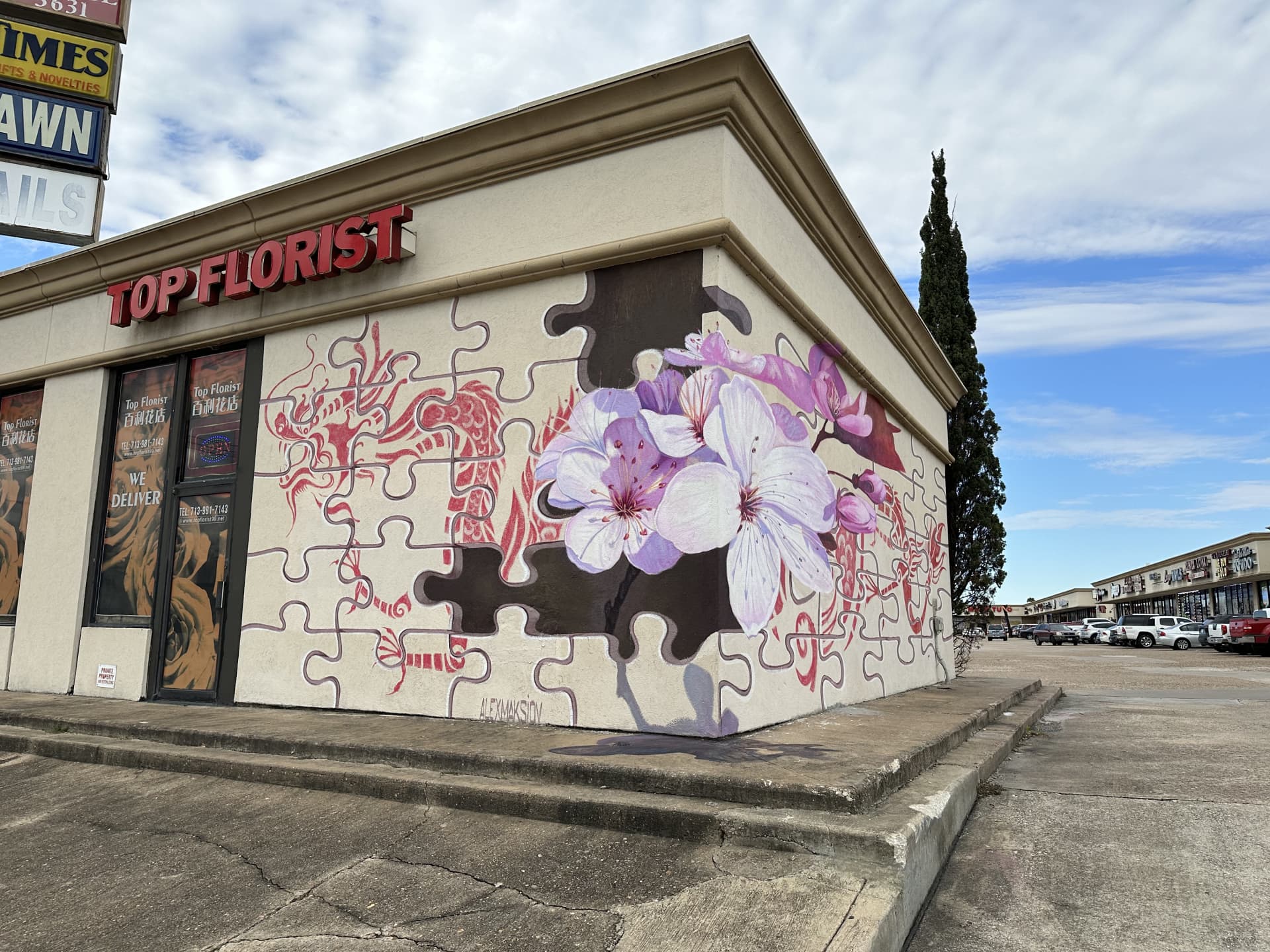 Puzzle of Blossoms and Serpents by Alex Maksiov
