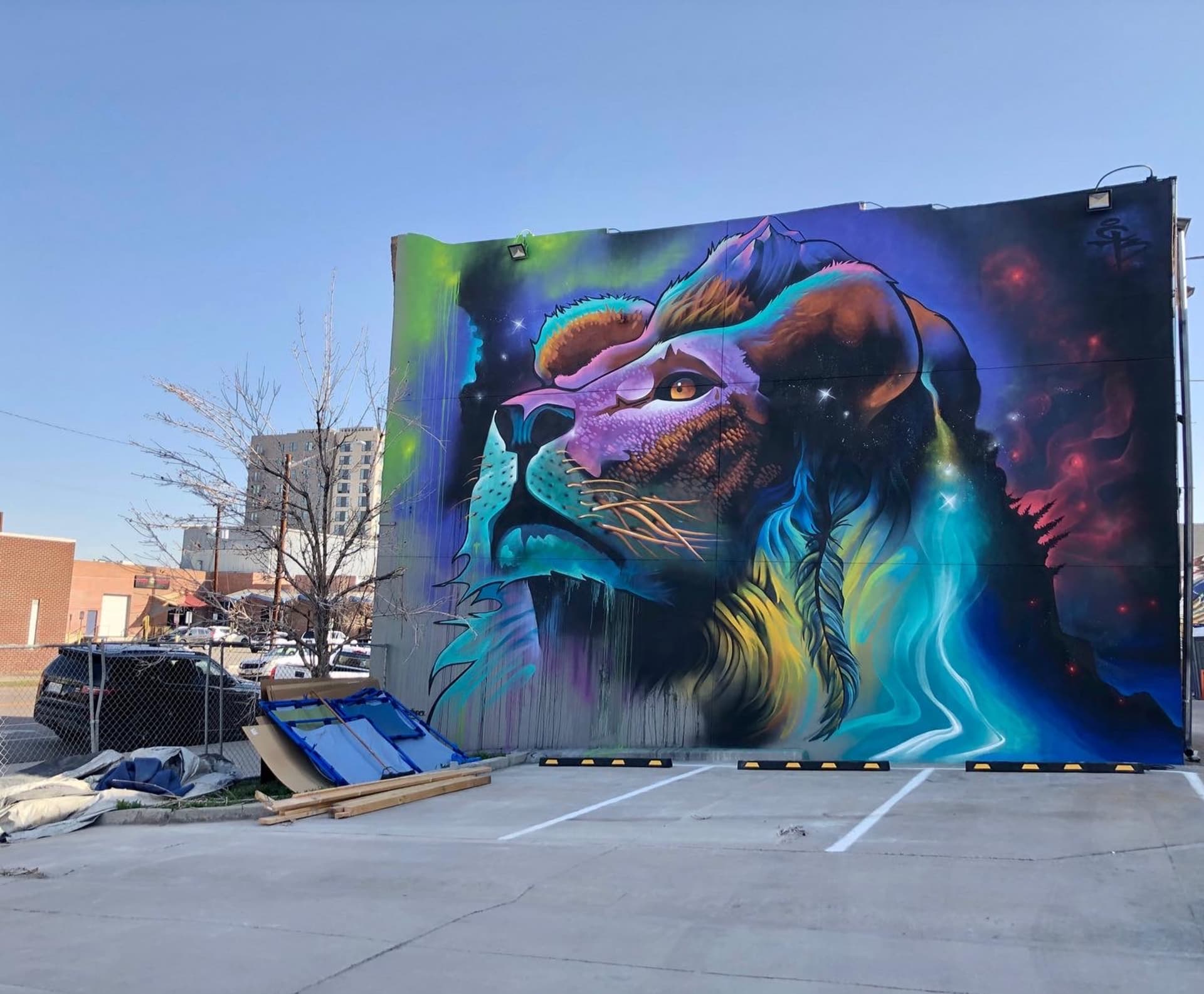 Majesty in Cosmic Colors by C. Bolsinger