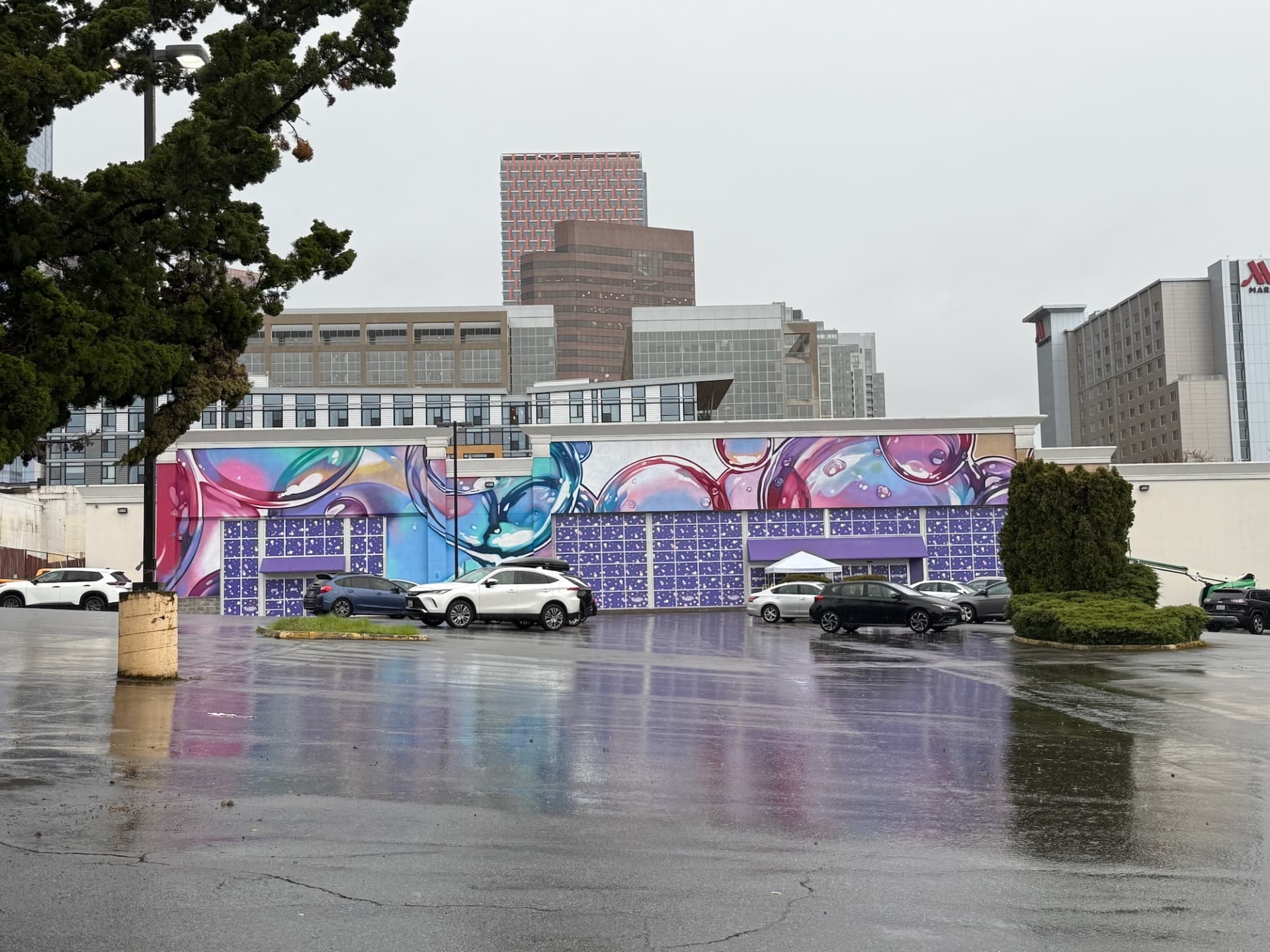 Bubble World Exhibition Mural by Seano