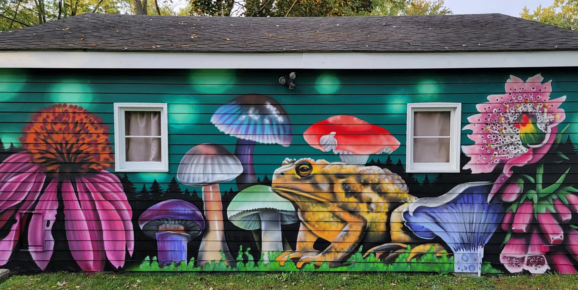 Whispers of Nature's Colorful Harmony by Rich Ayers