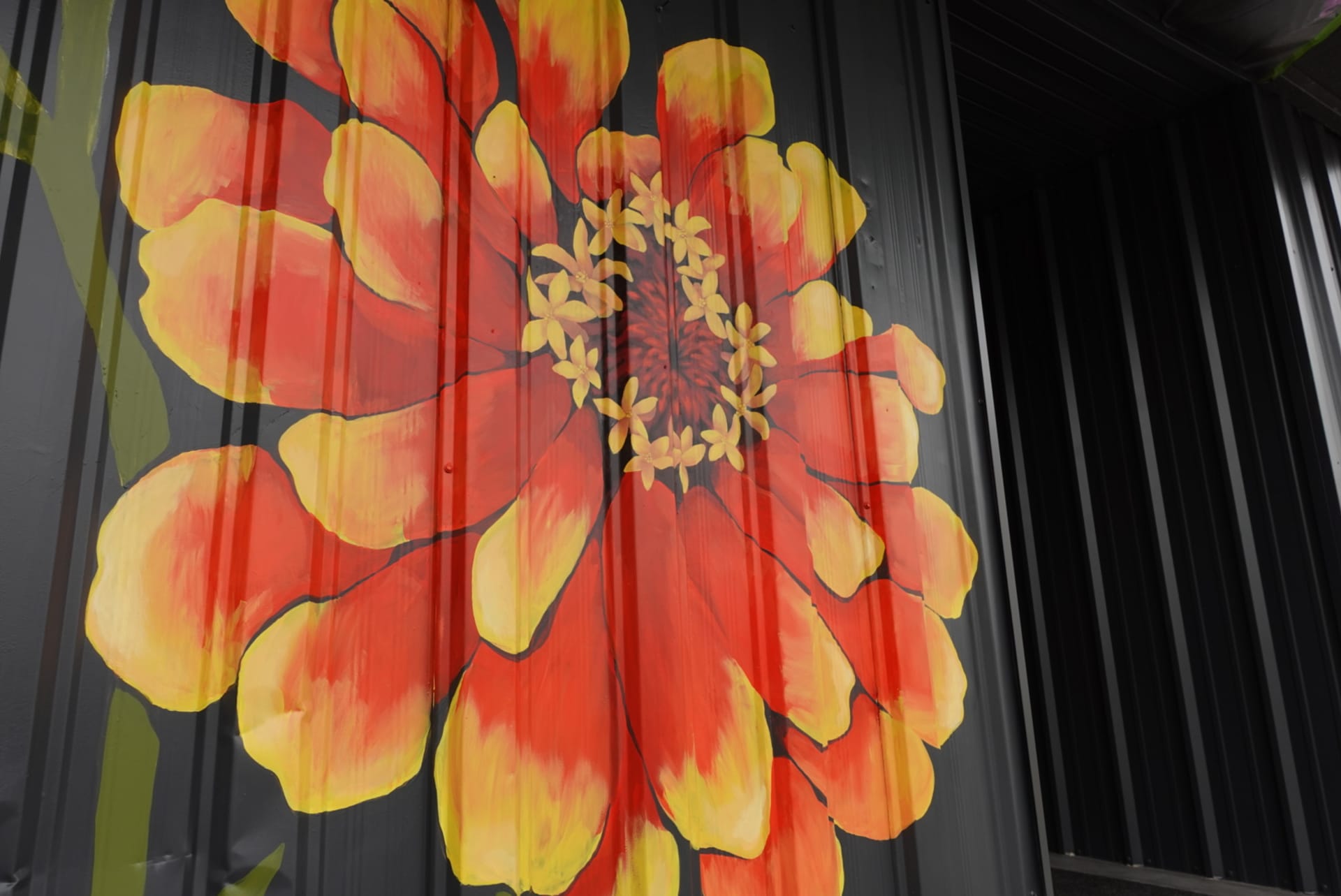 Vibrant Blooms Against Urban Shadows by Jessica Robin