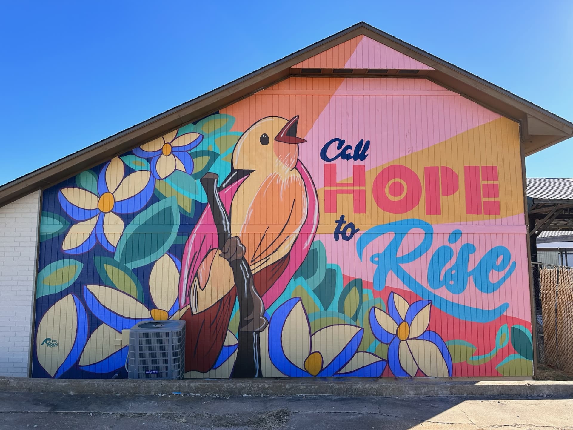 Call Hope to Rise by Red Dirt Rosie