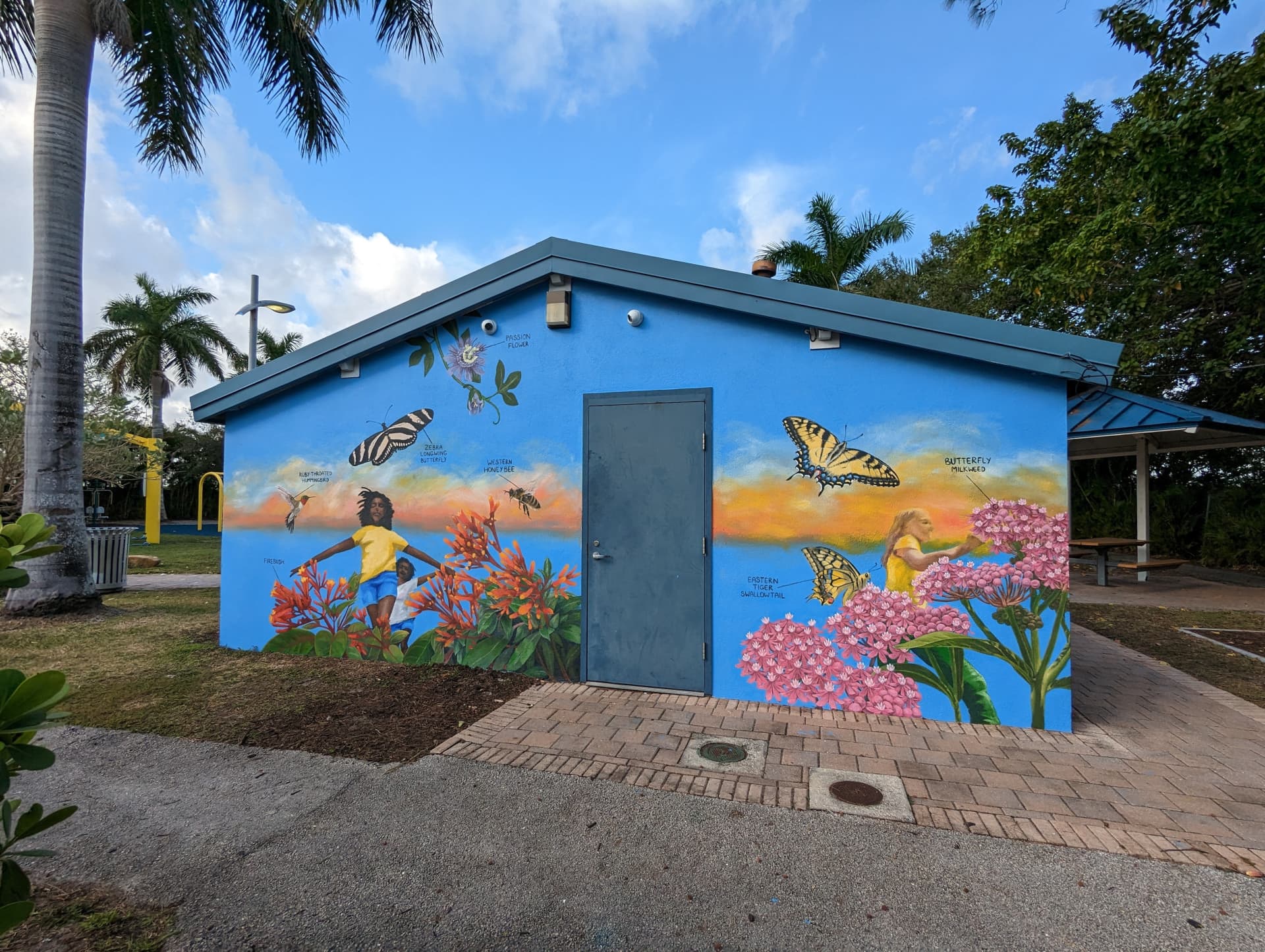 Florida Native Species  by Paula Camacho