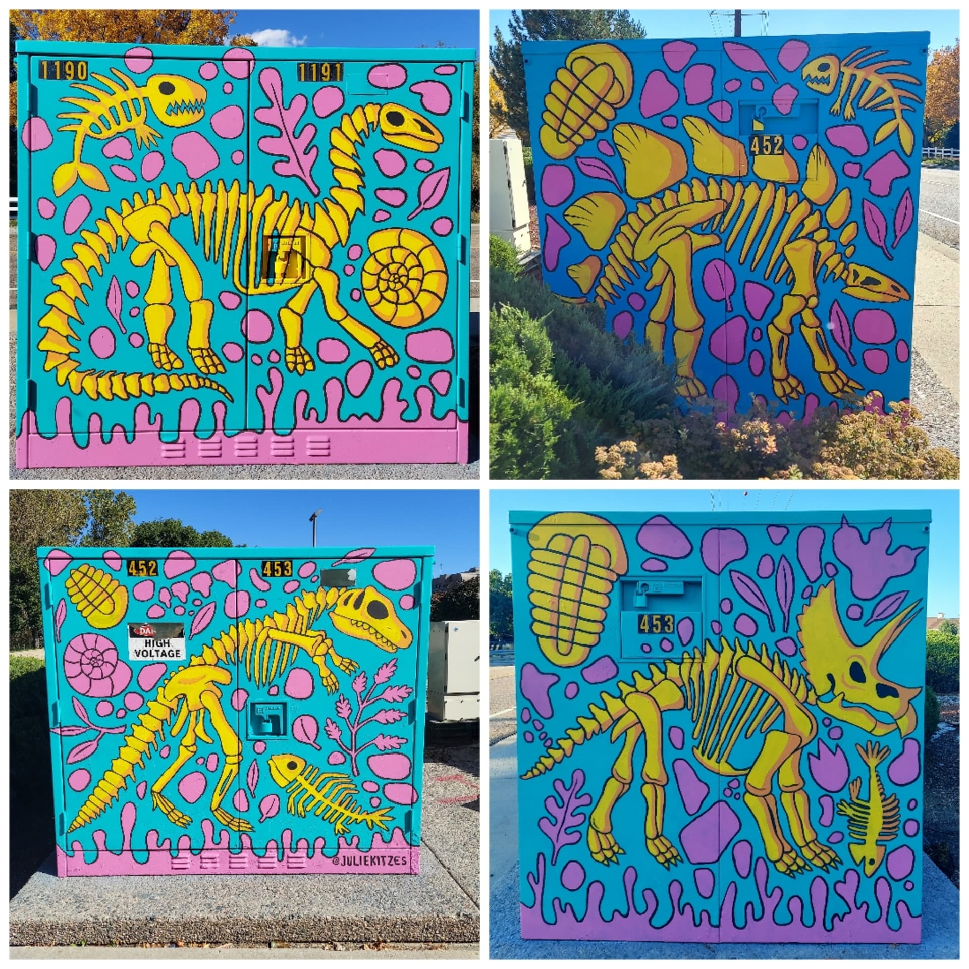 Colorado Fossils by Julie Kitzes