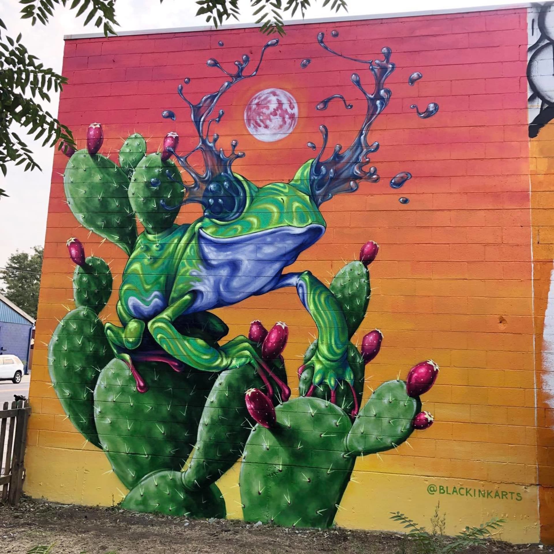 Prickly Pear by David Swartz