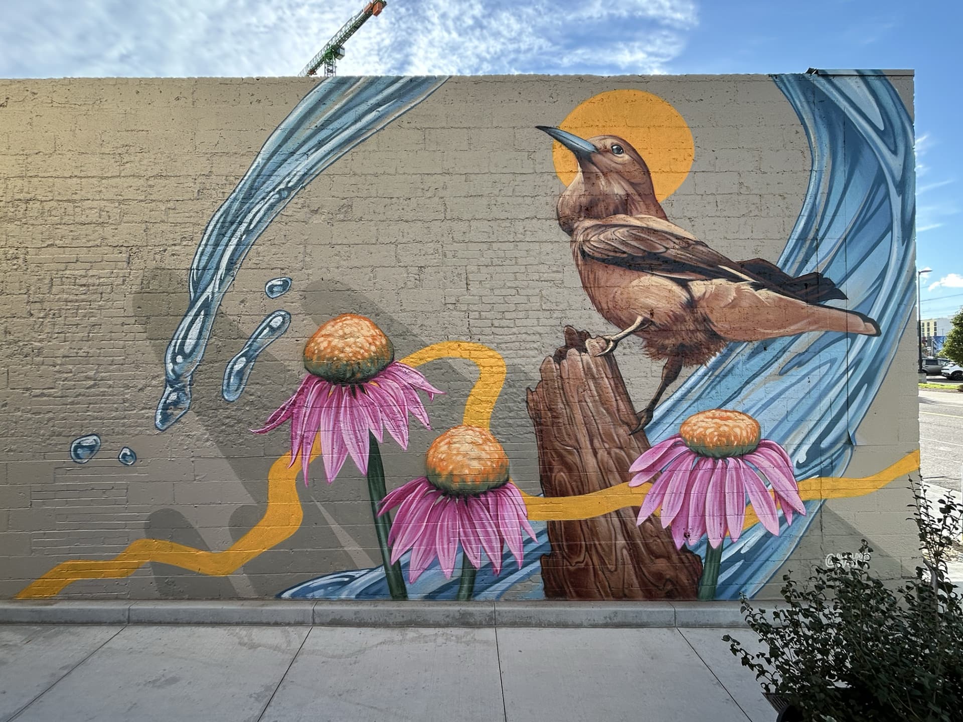 Harmony of Nature's Vibrant Symphony by David Swartz