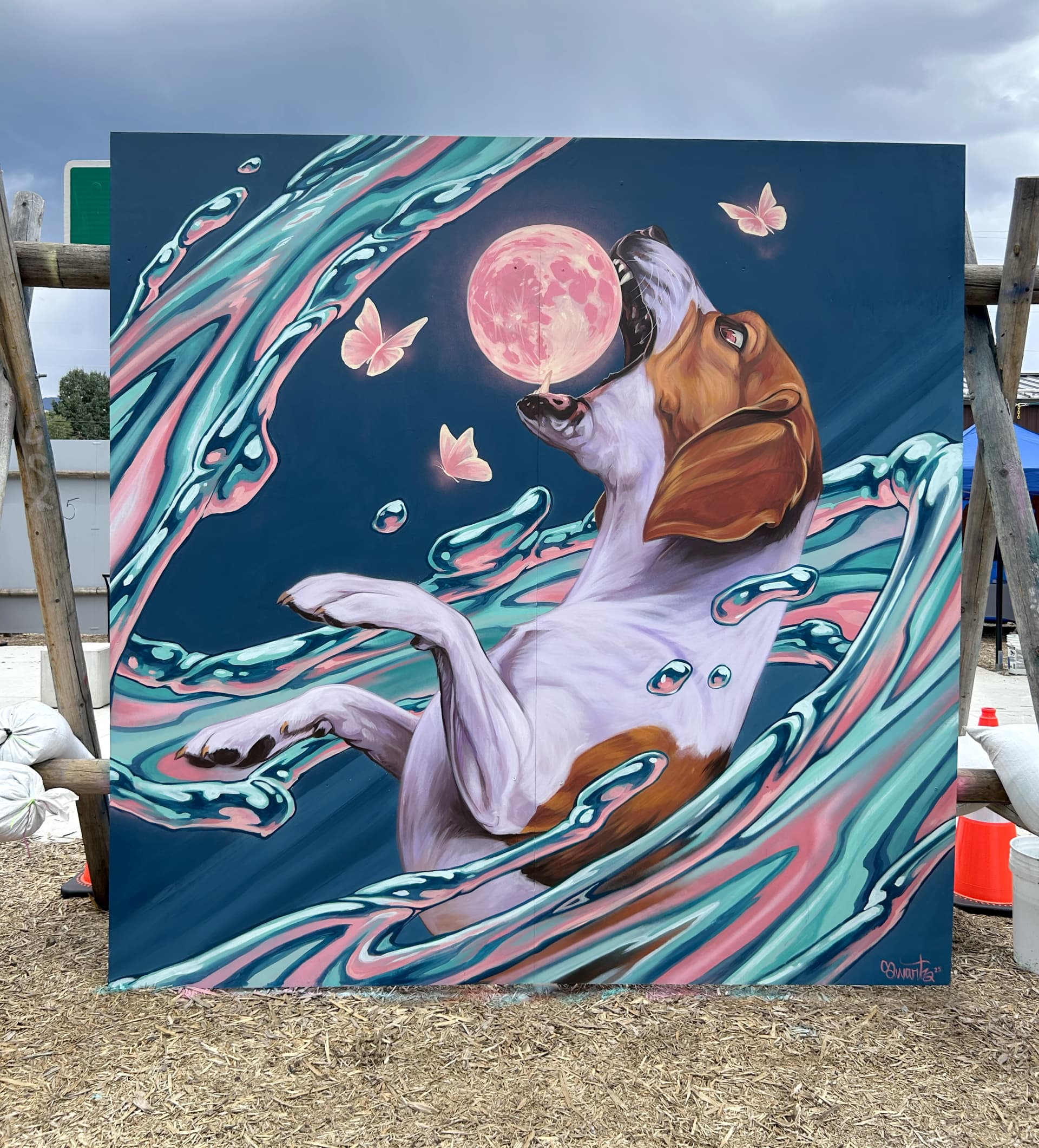 Joyful Whimsy in a Splash of Color by David Swartz