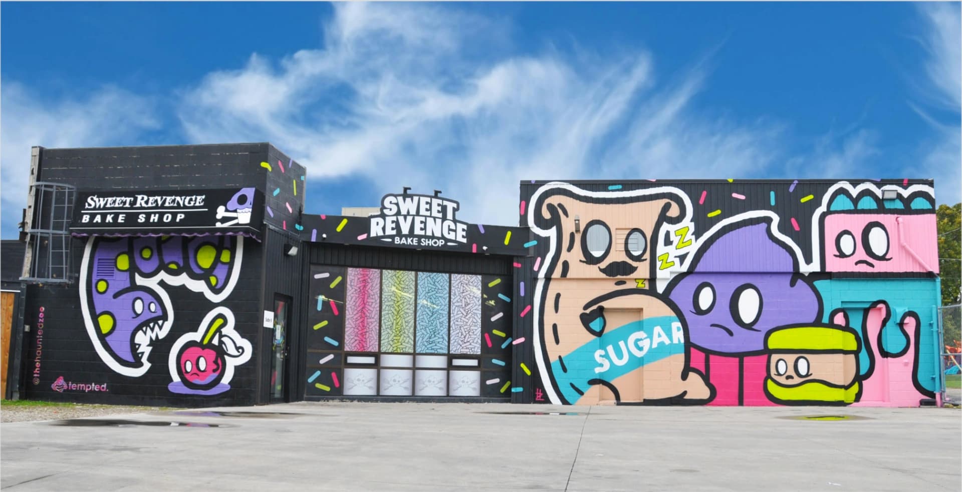 Sugar Coma by The Haunted Zoo