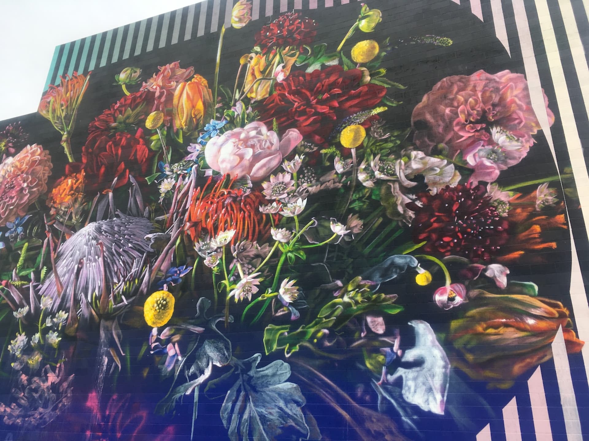 A Full Circle isn't Reallya  Circle (Bouquet) by Erik Burke