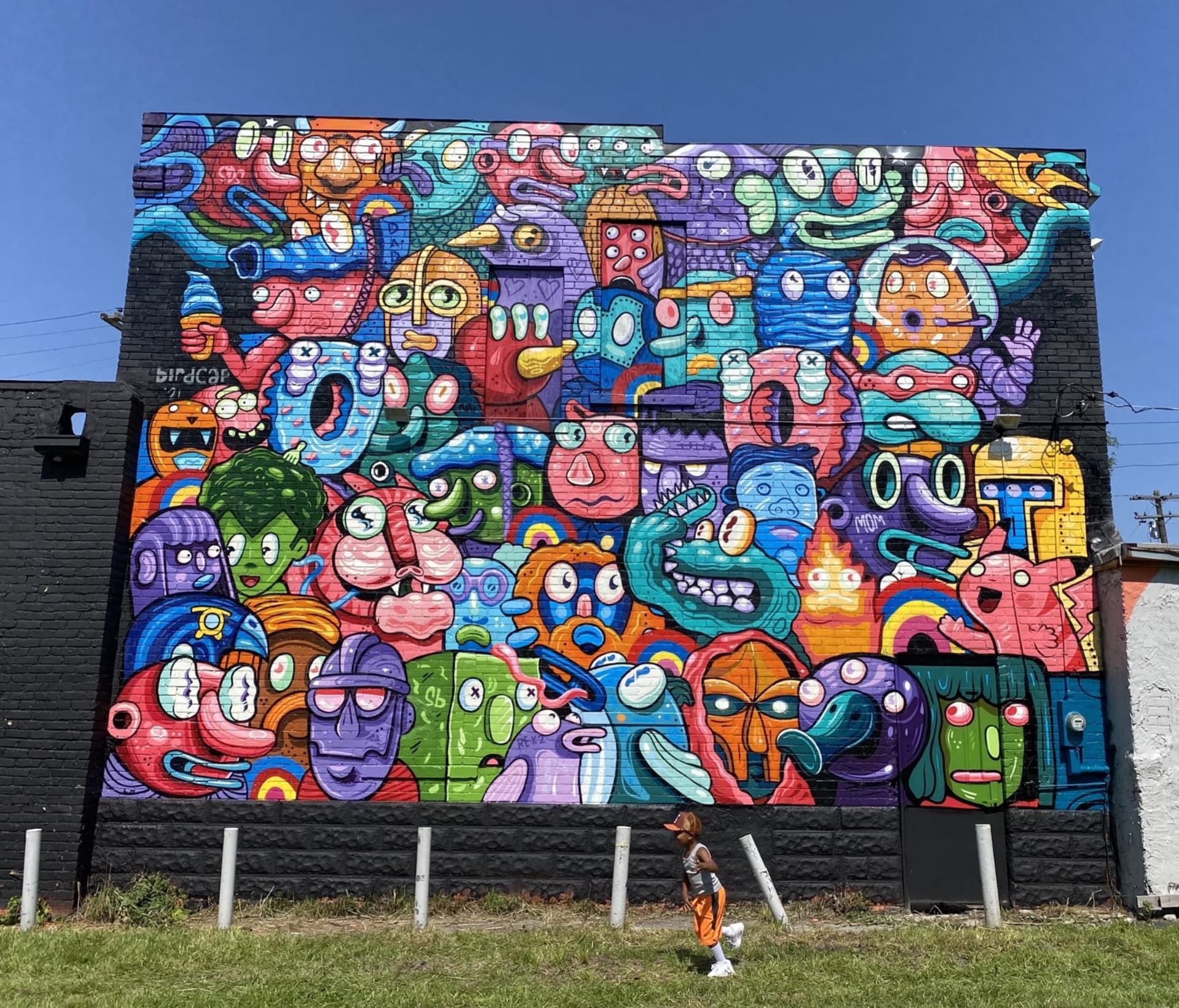 Freestyle by Birdcap