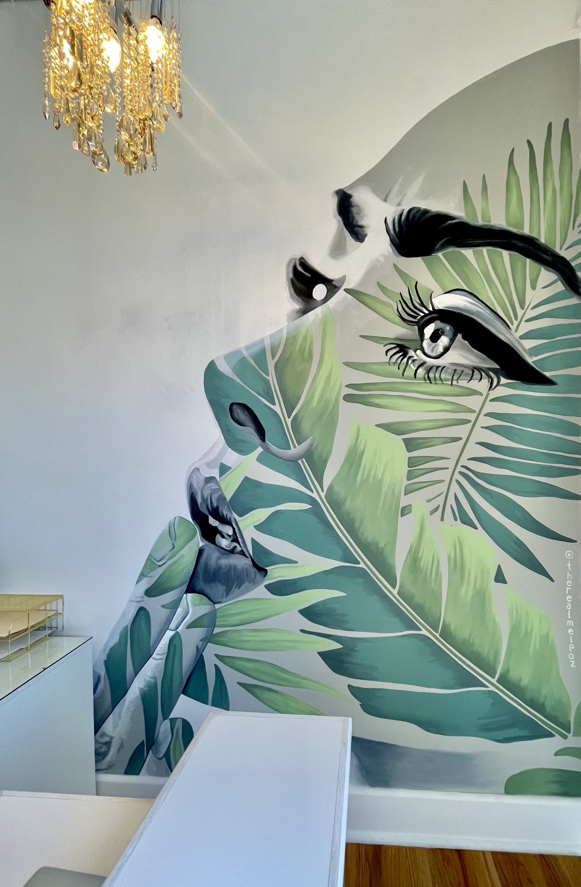 Plant Lady by Melanie Posner