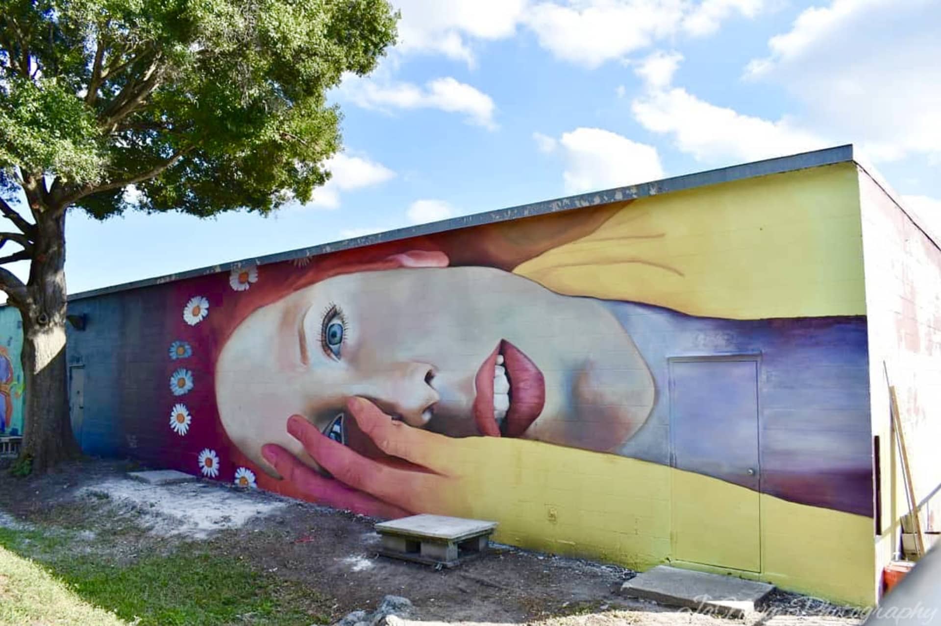 Shine St. Pete by Melanie Posner