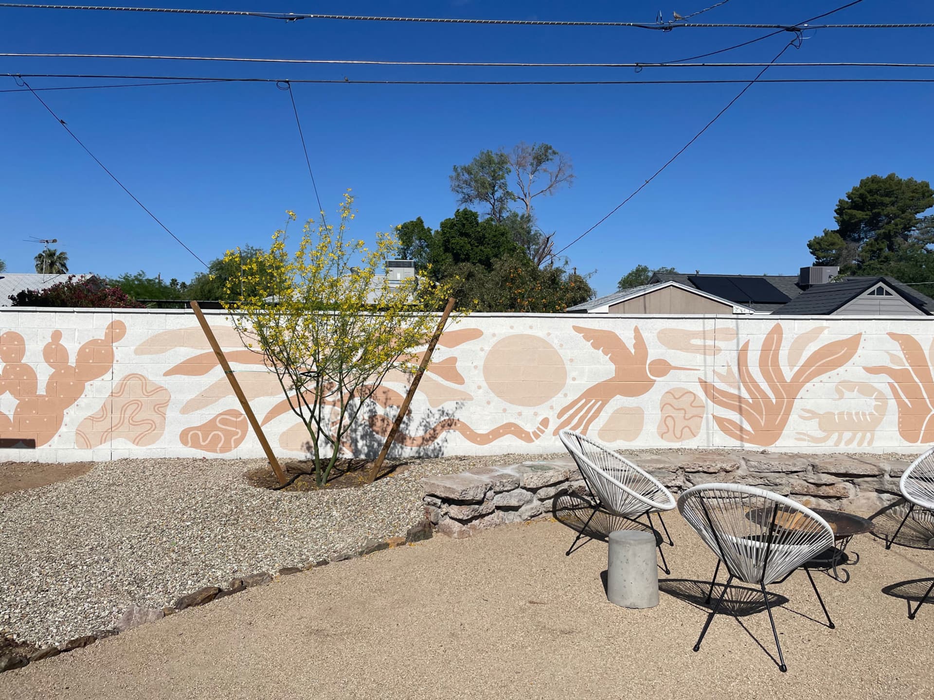 AZ Backyard Mural by Nnuzzo
