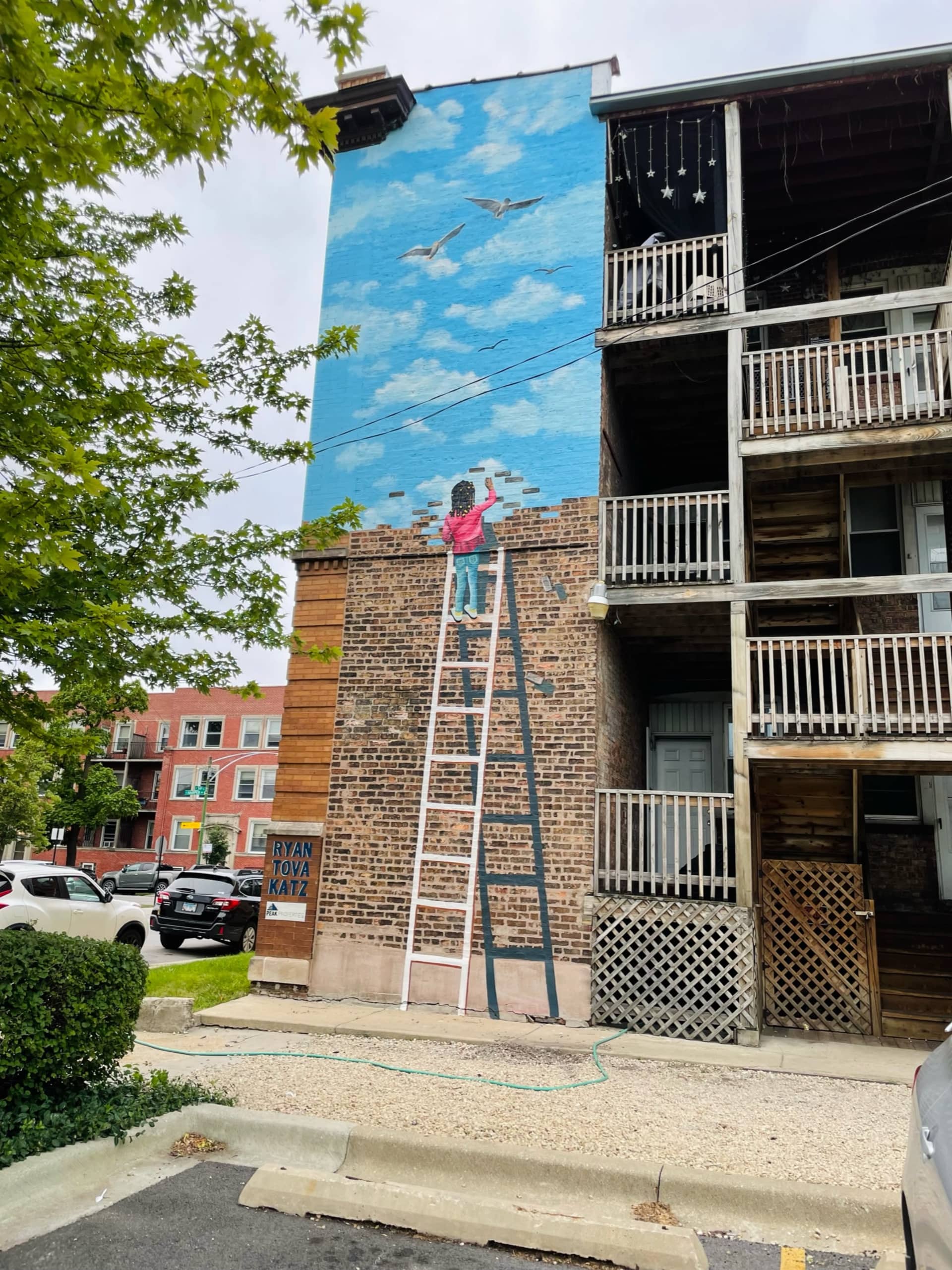 Ezra Frees the sky  by Ryan Tova Katz