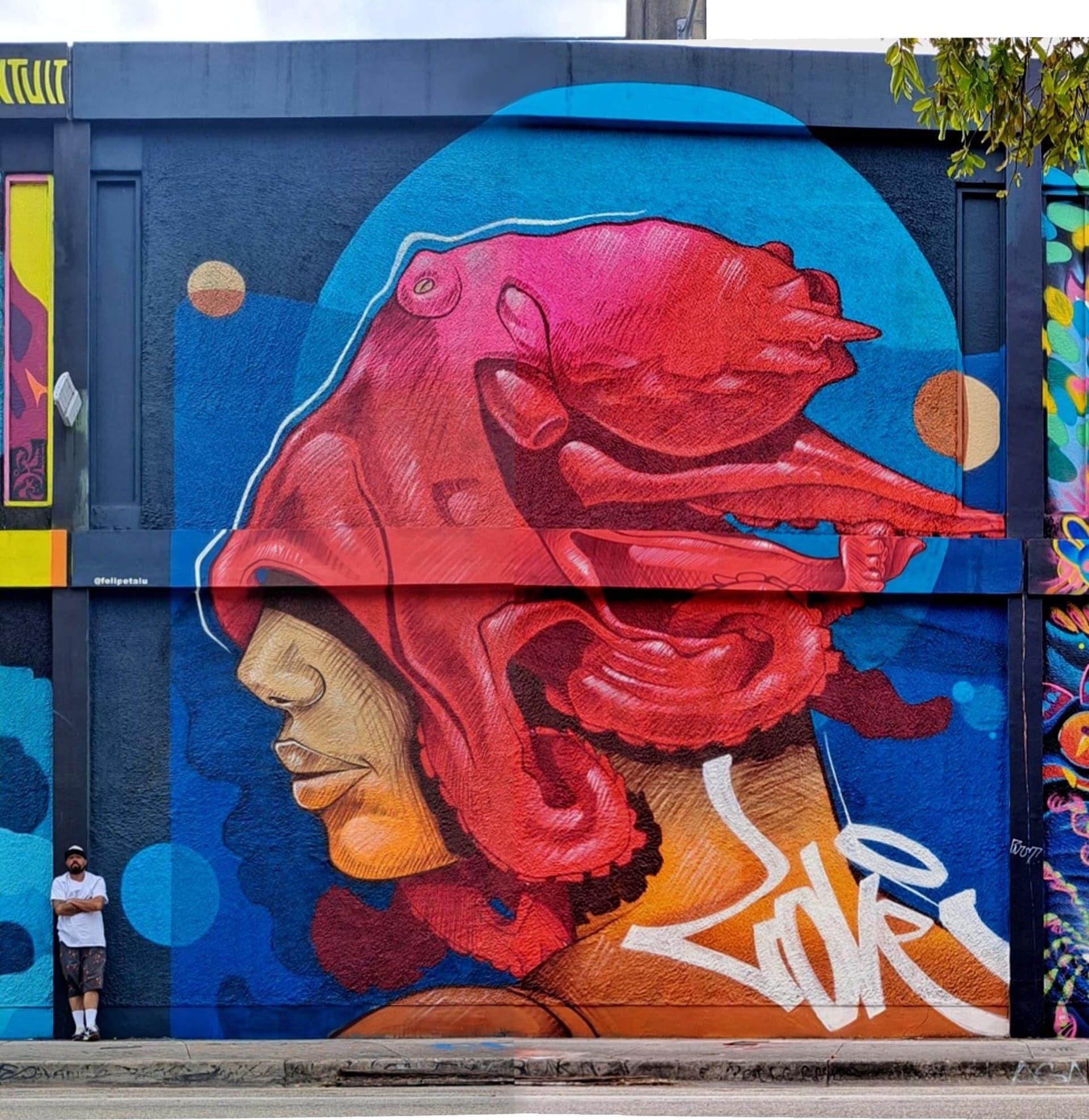 wynwood WALL FEST by Felipe Talu