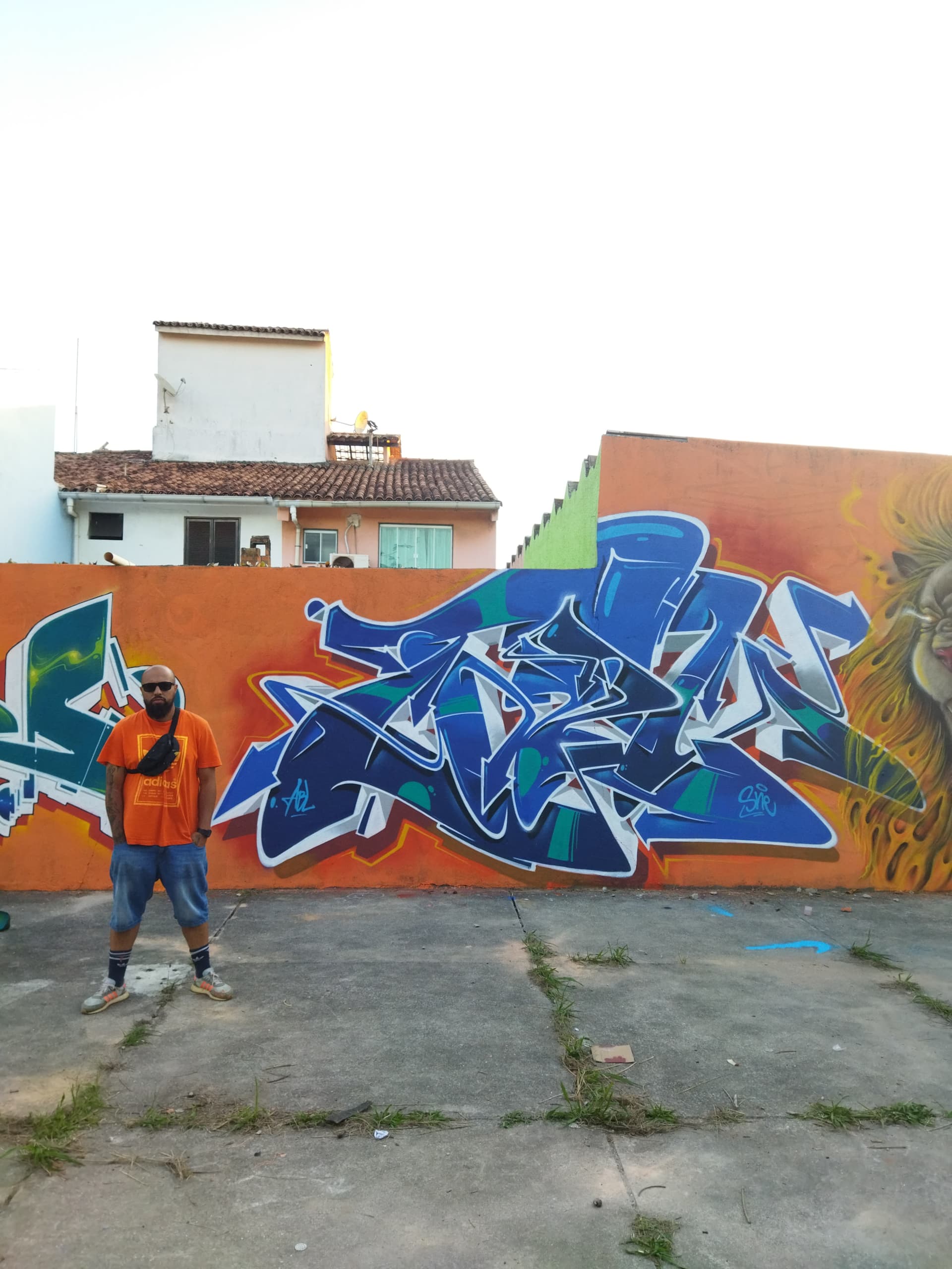 wild style Graffiti by Felipe Talu