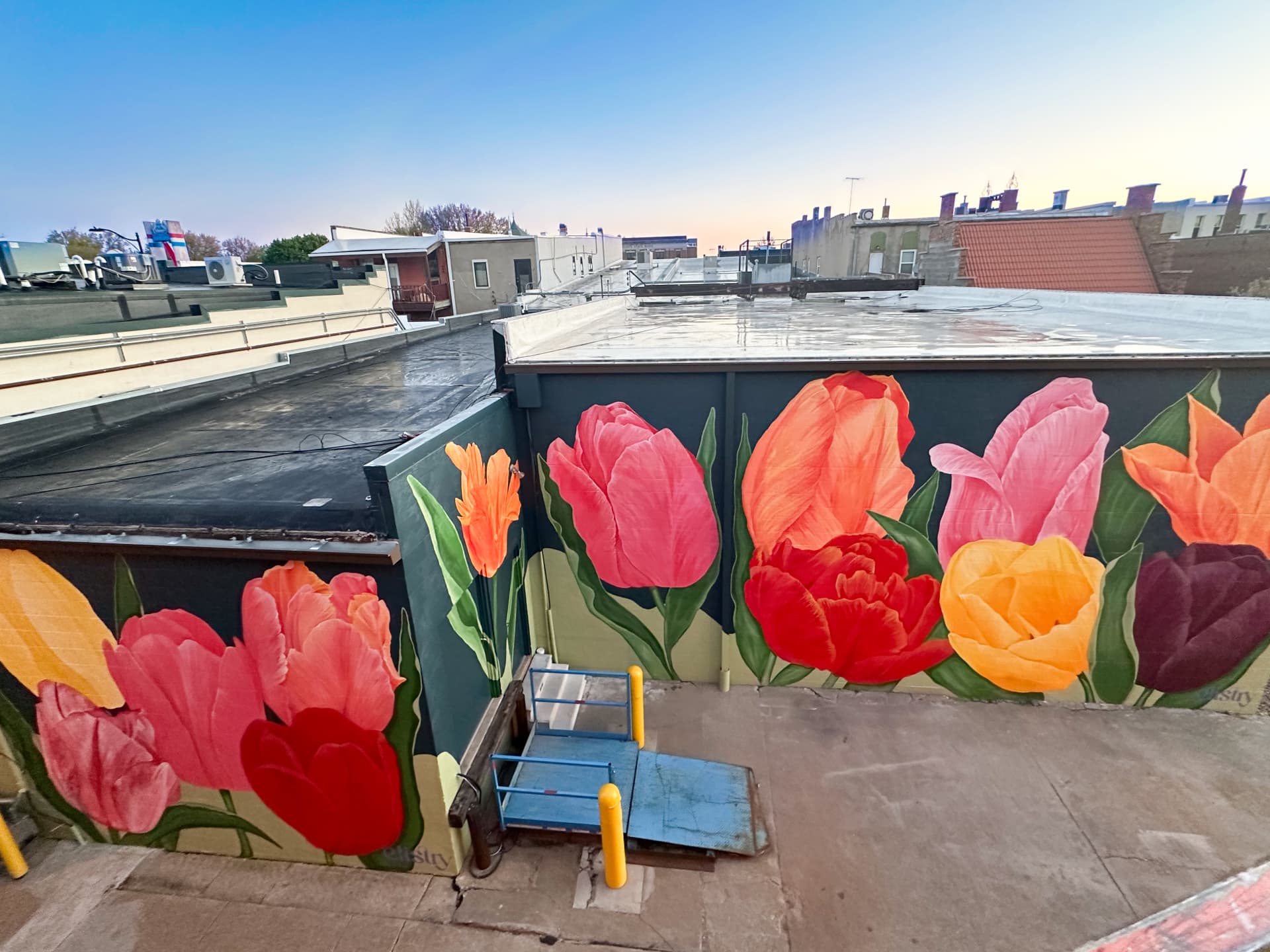 Pella in Bloom by Elistry