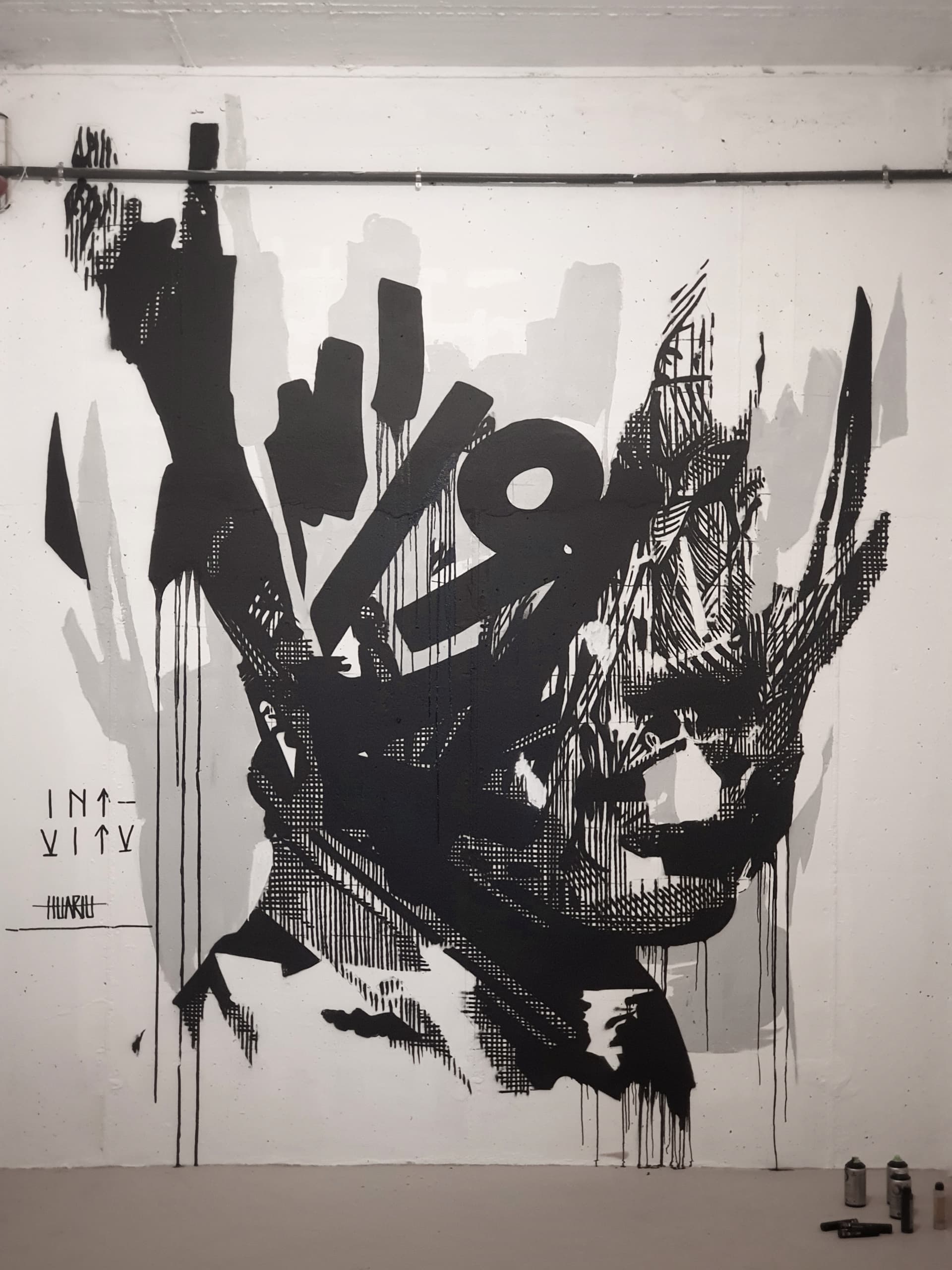 Shadows of Identity in Urban Expression by Huariu