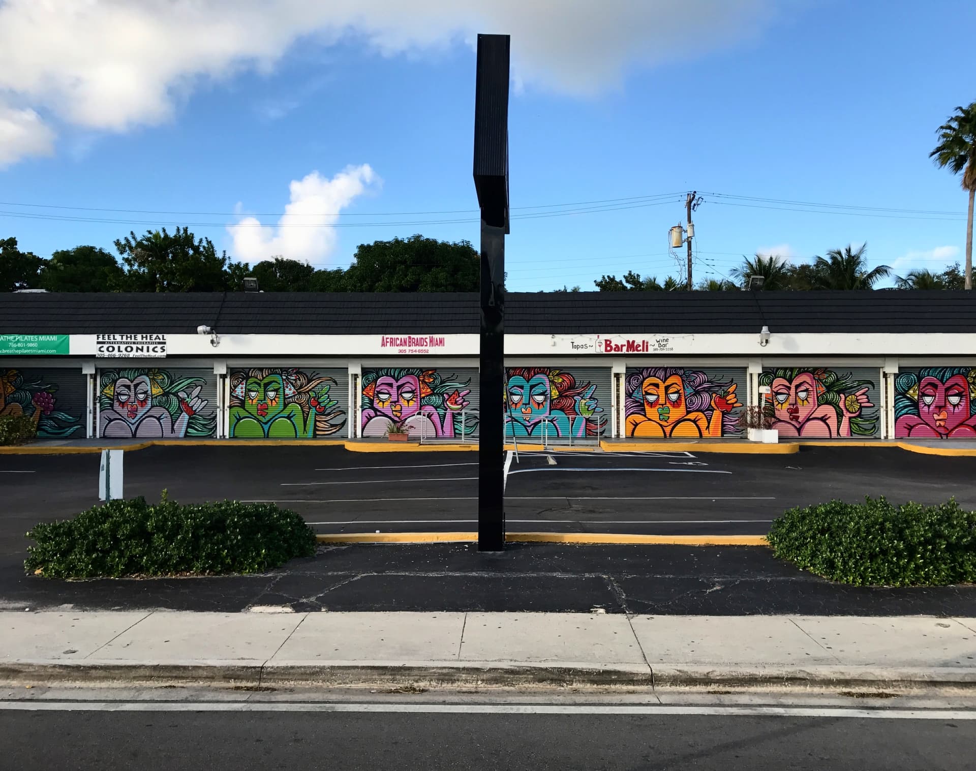 Vibrant Echoes of Miami's Urban Spirit by Delvs