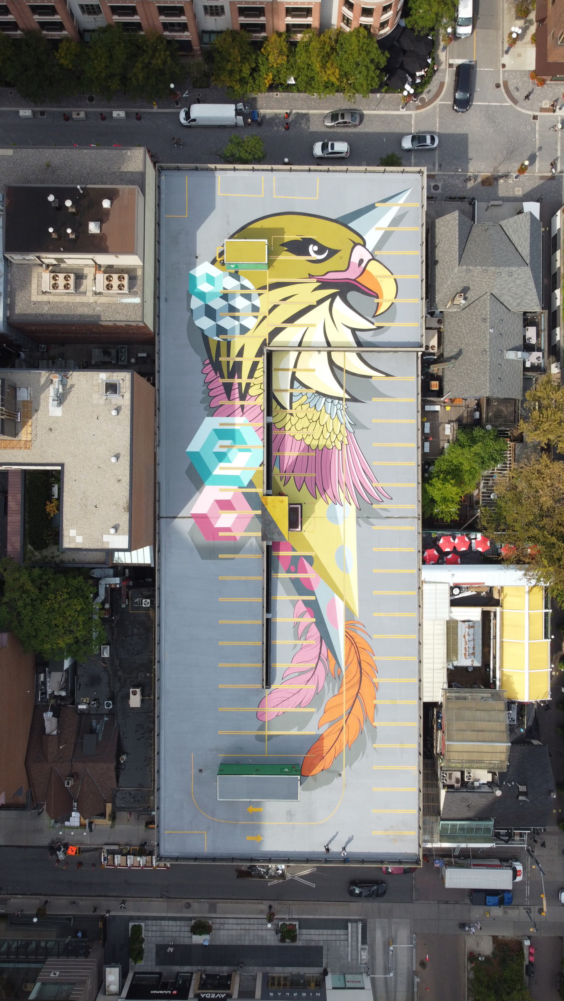 Yorkville Murals by Birdo