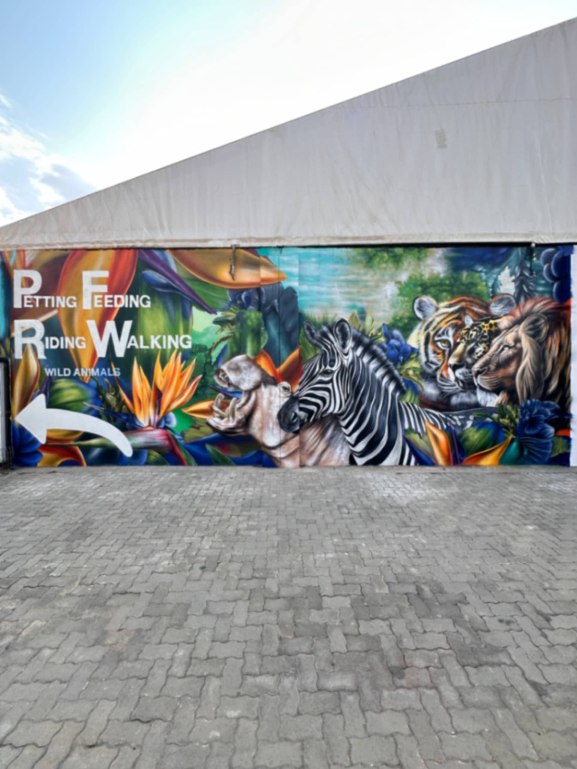 Animal Paradise by Yolo Xulu