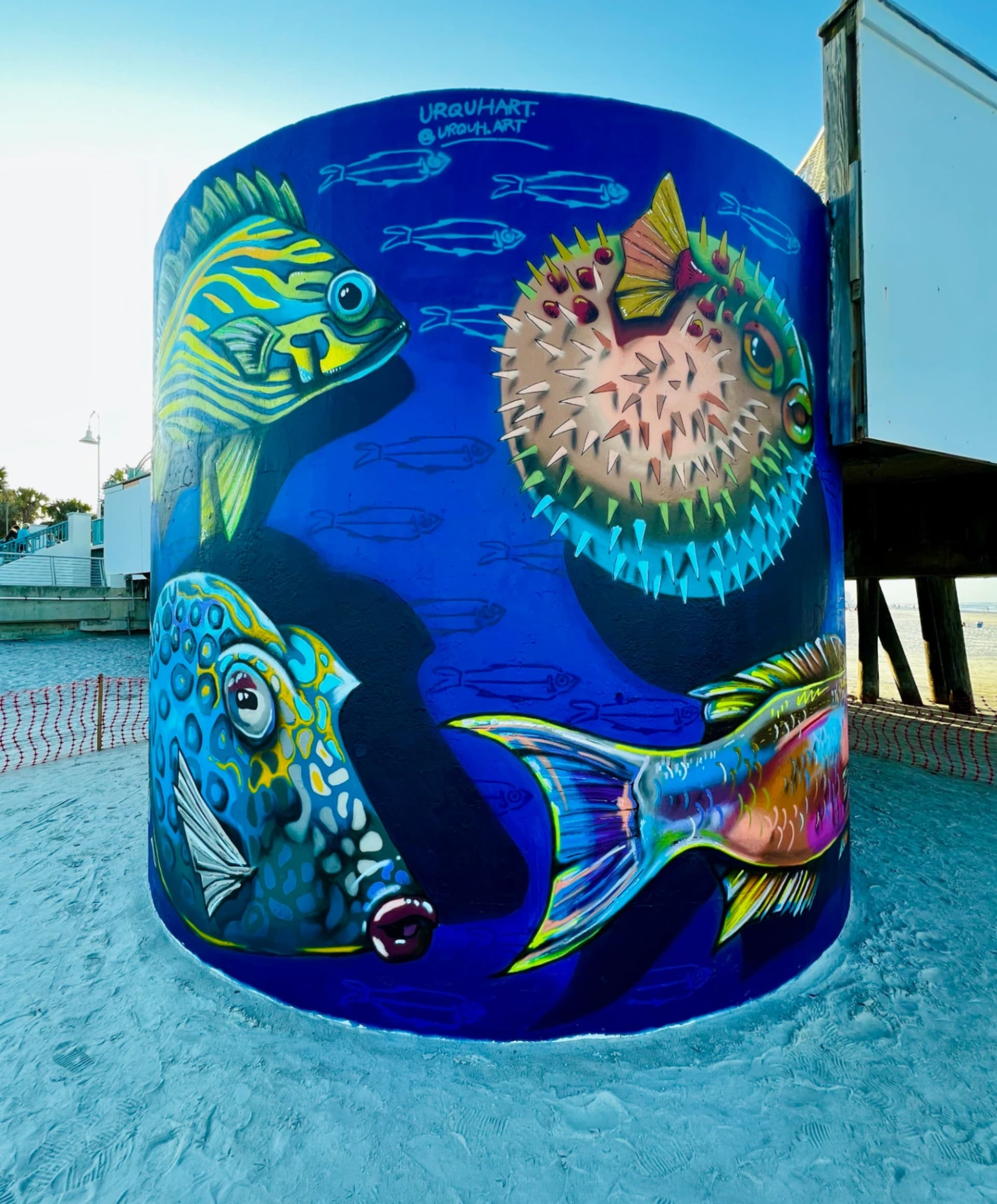 Aggregation of Fish by URQUH.ART
