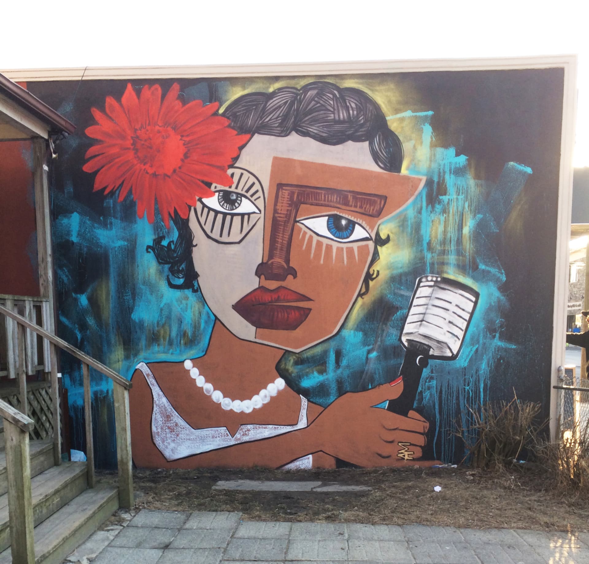 Voices of Resilience and Expression by Alice Mizrachi