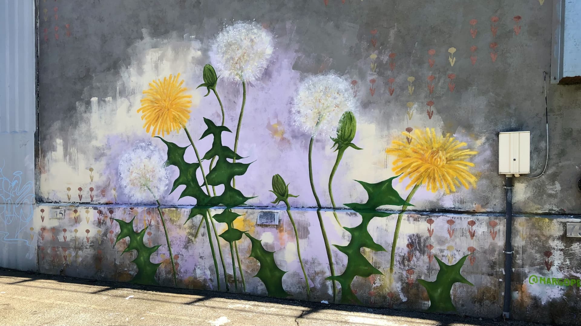 Weeds by Margo Perkins