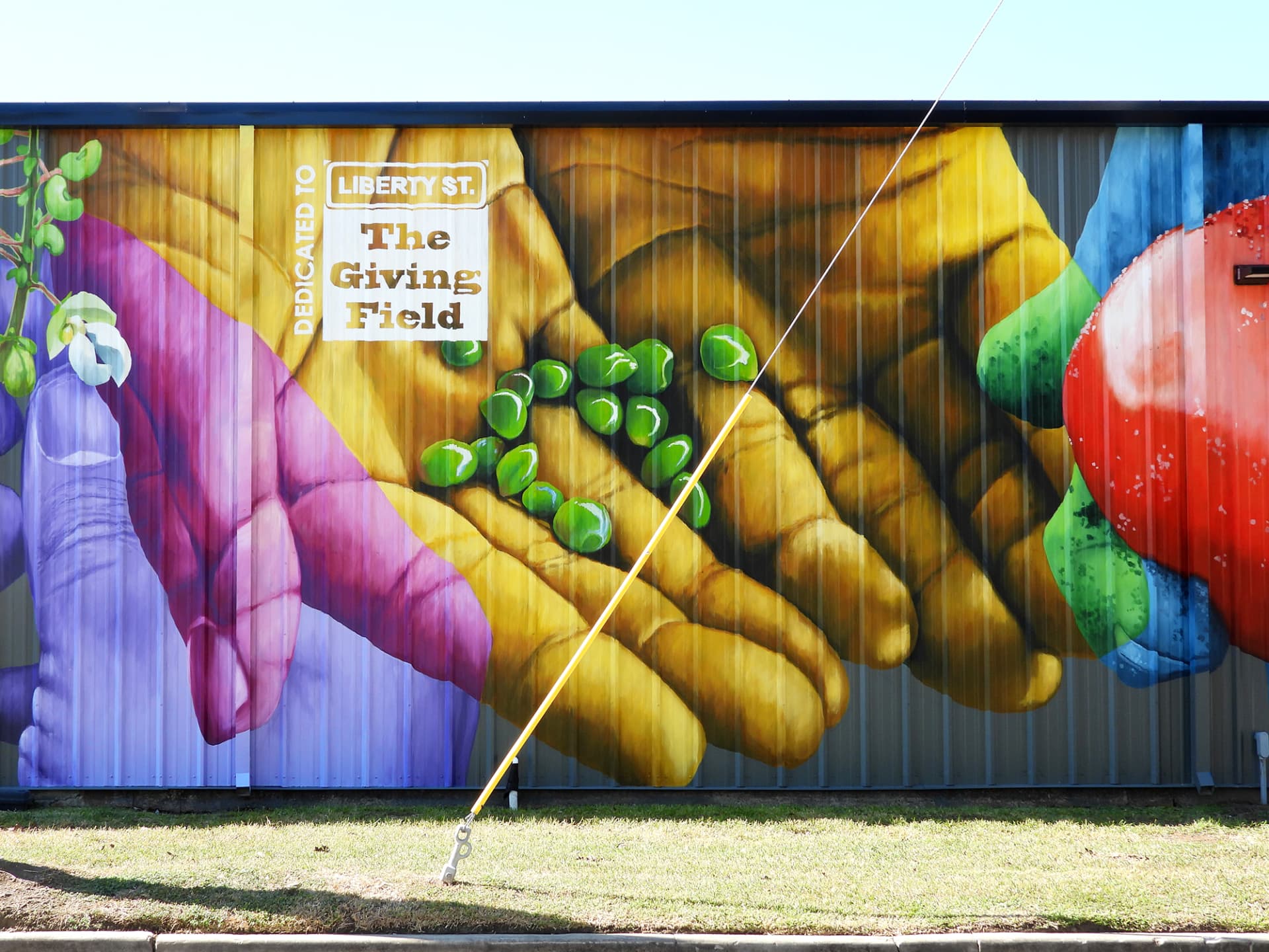 Hands of Abundance and Community Nourishment by Anat Ronen