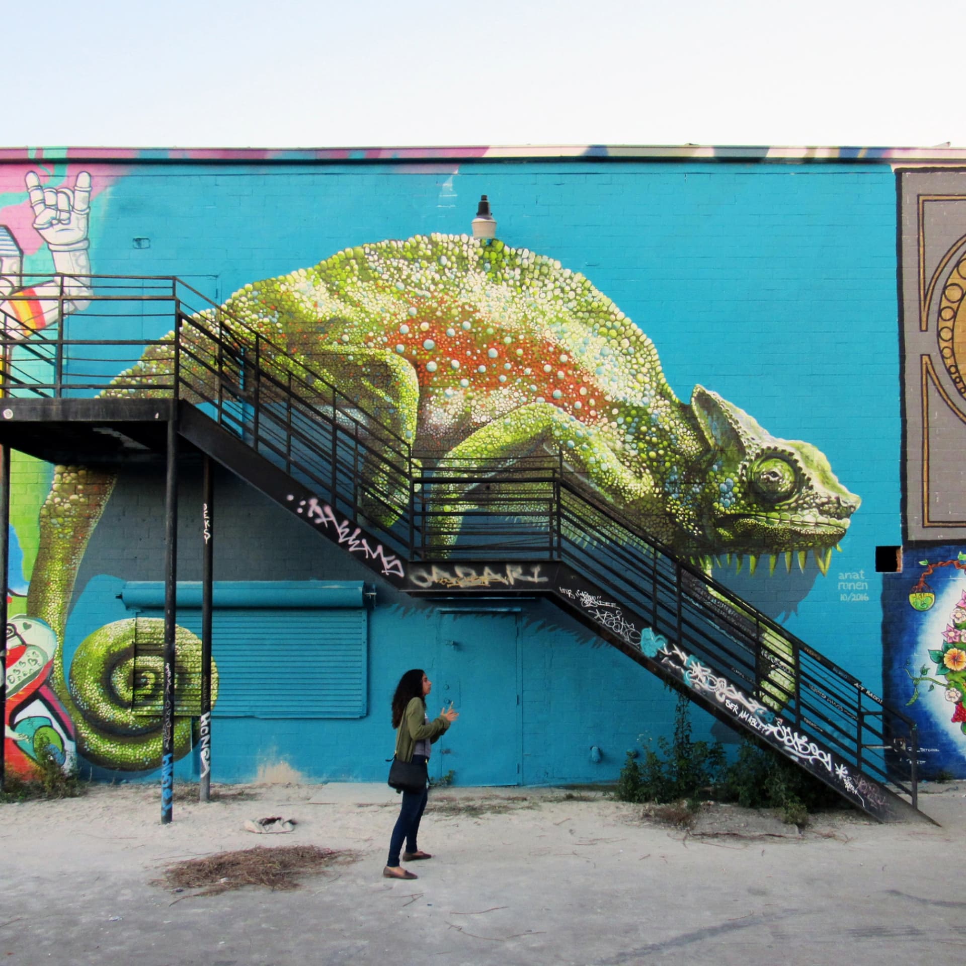 The chameleon  by Anat Ronen