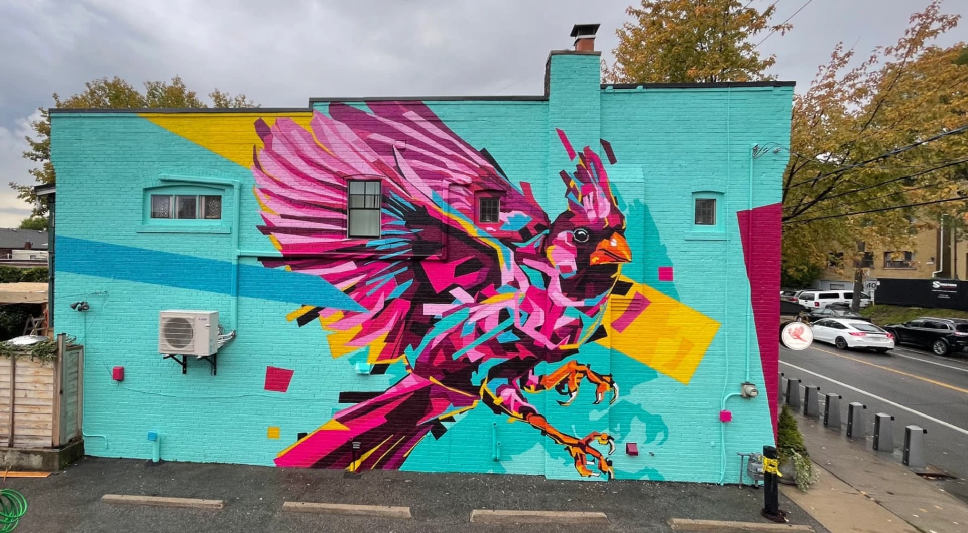 Cardinal by Arlin Graff