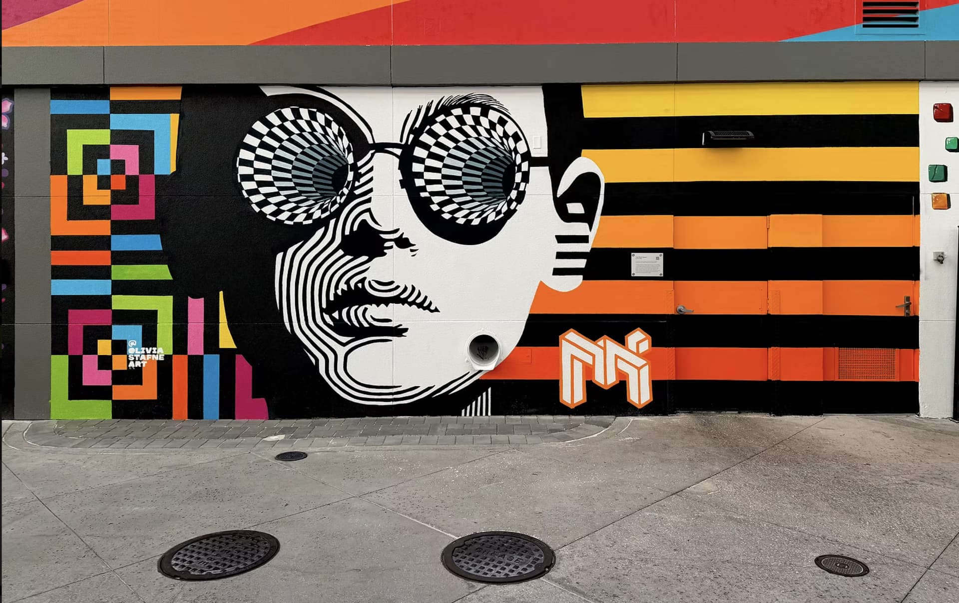 Visions of Reality in Bold Contrast by Olivia Stafne